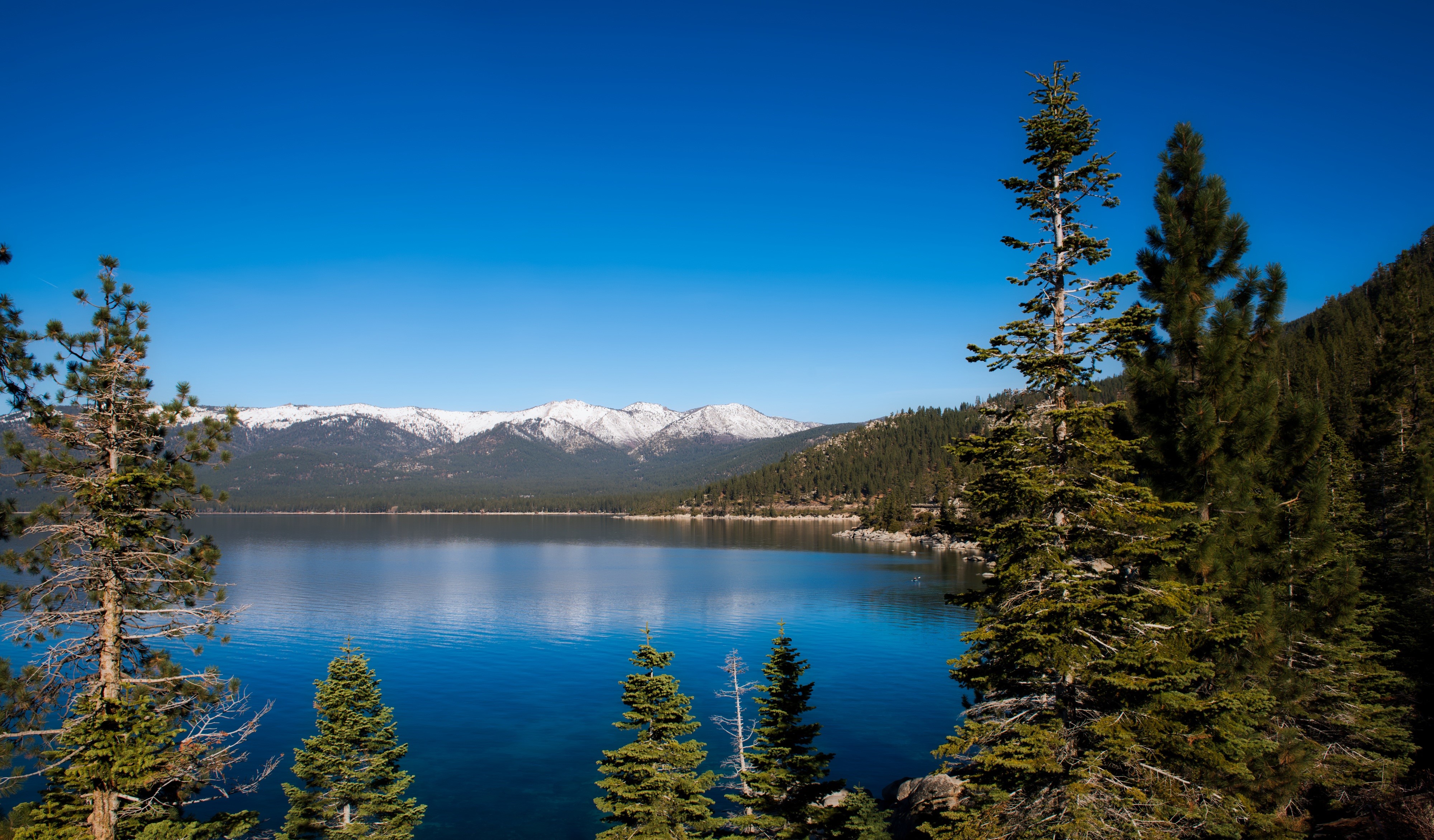 Lake Tahoe with Snow-Capped Mountains and Pine Forests HD Wallpaper