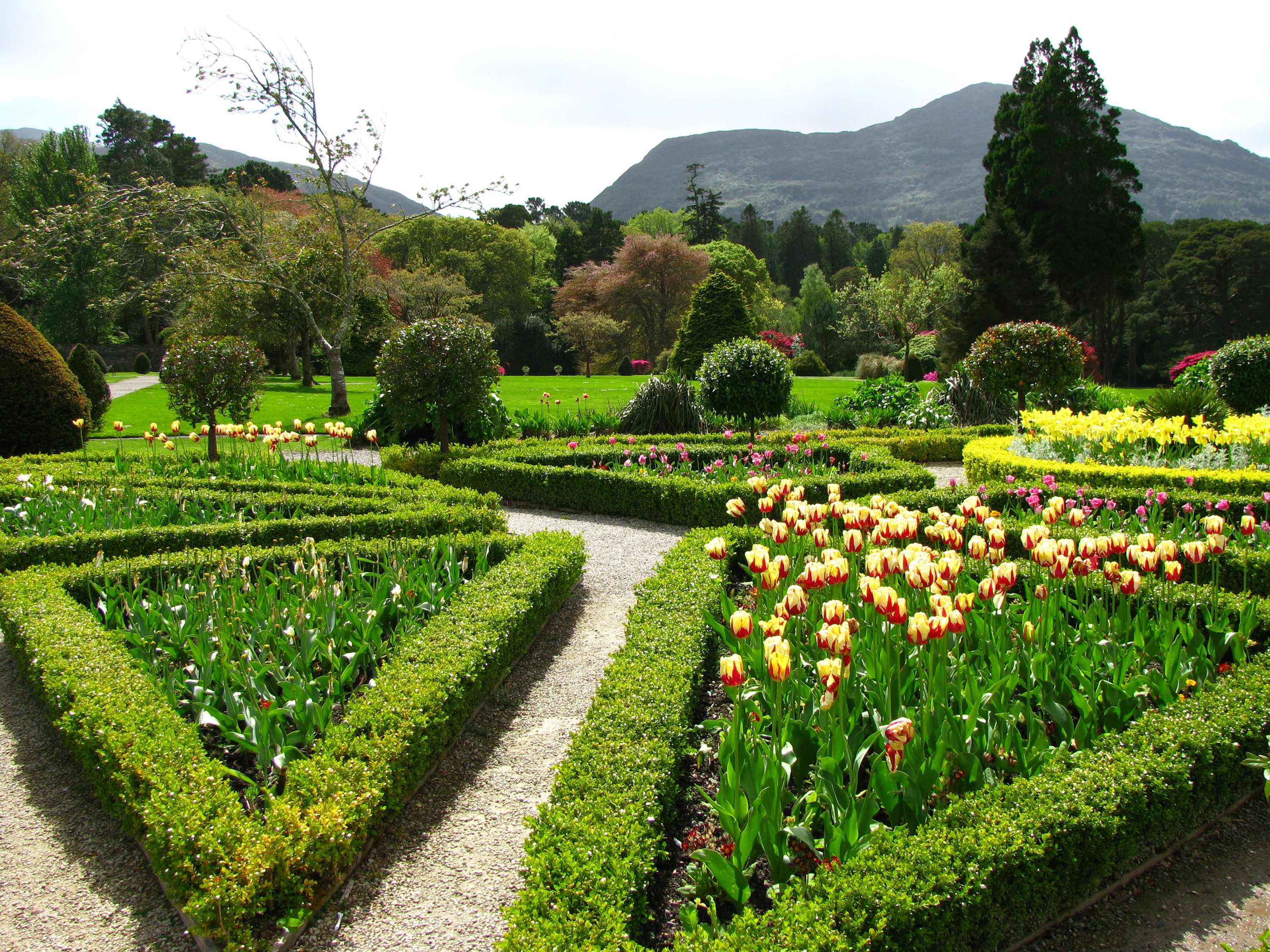Muckross House Gardens, Ireland with Tulips and Shrubs HD Wallpaper