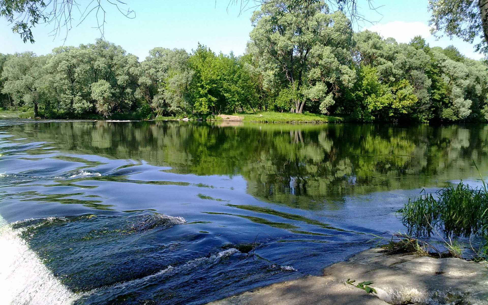 River flowing through a forest with reflections HD Wallpaper