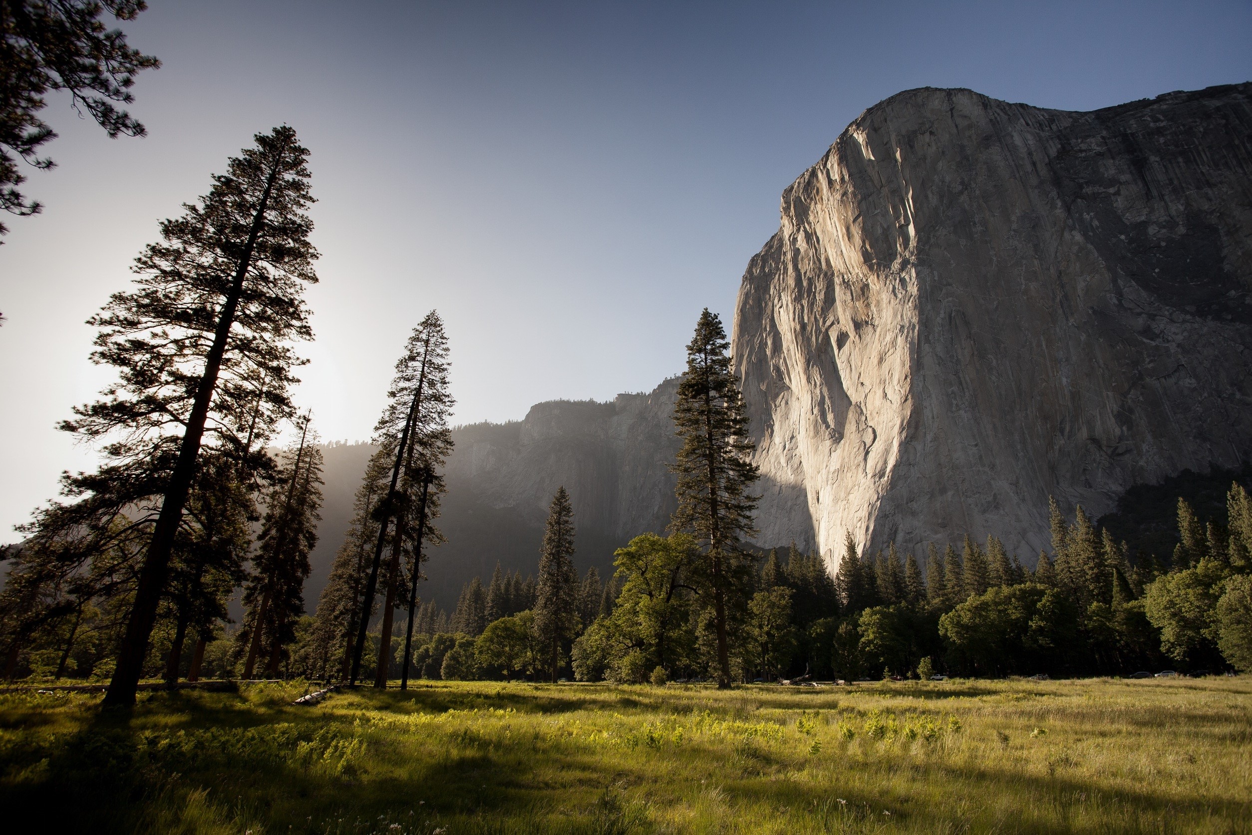 El Capitan mountain in Yosemite National Park with trees and meadow HD Wallpaper