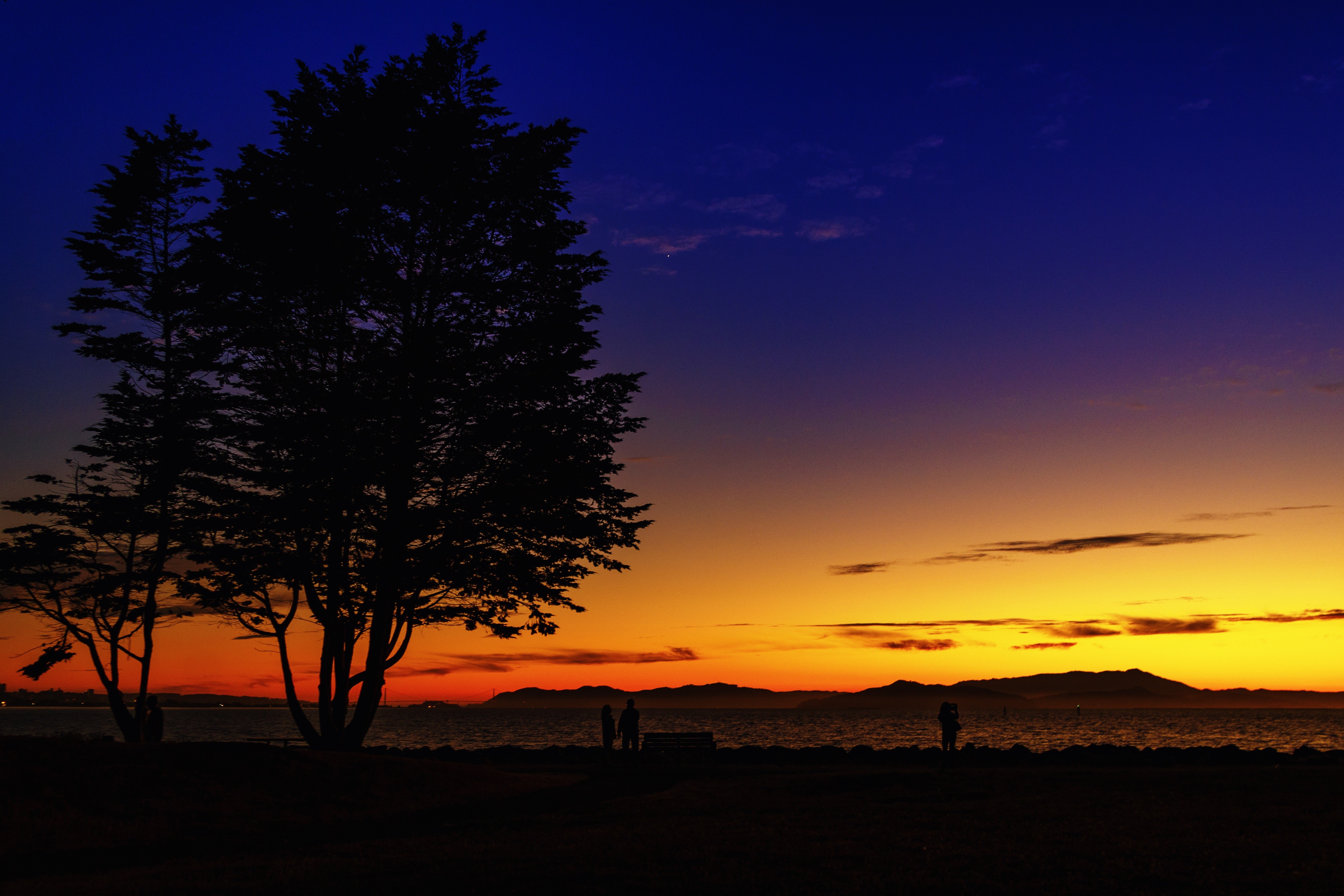 Sunset over the ocean with silhouettes of trees and people HD Wallpaper