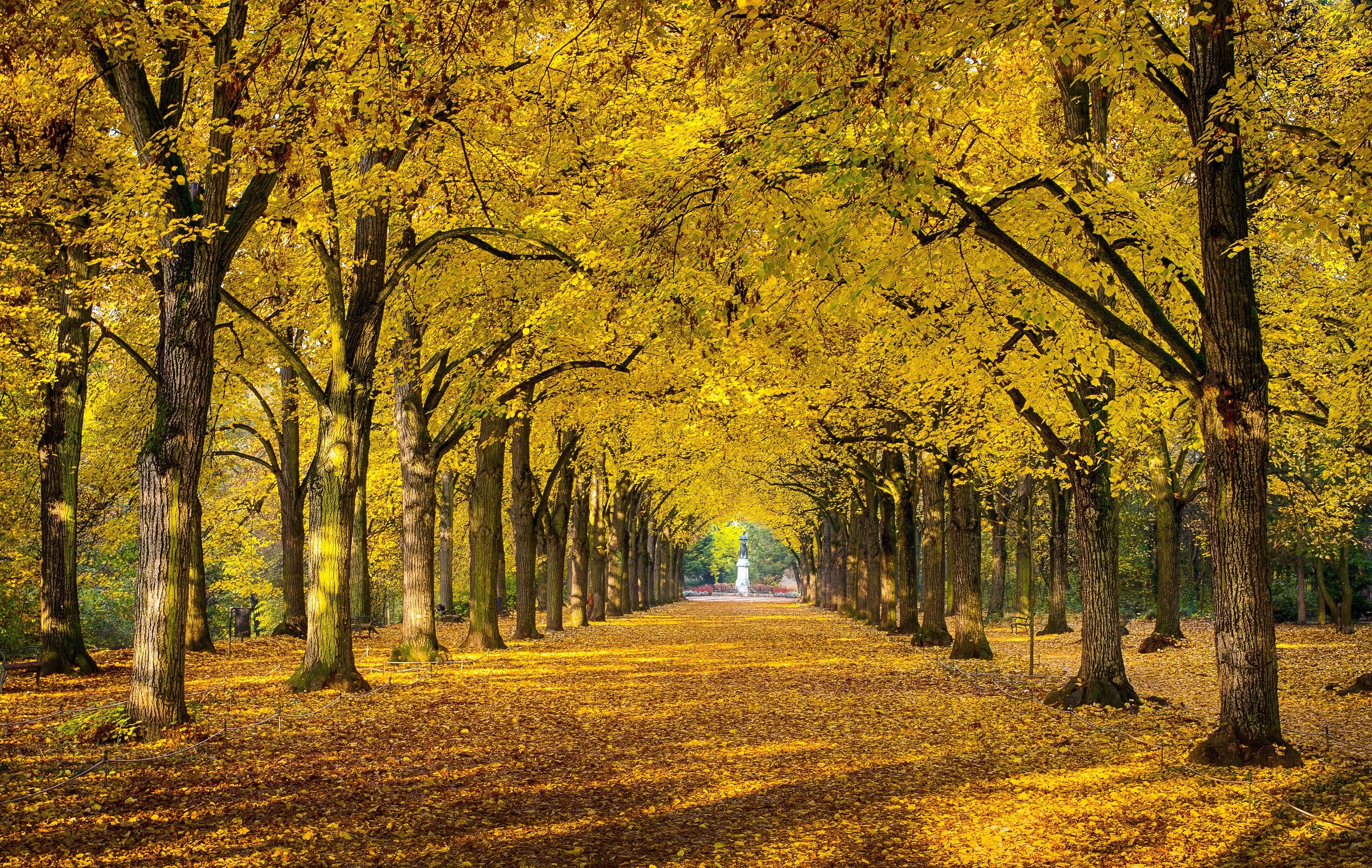 Autumn tree avenue with fallen leaves and a statue HD Wallpaper