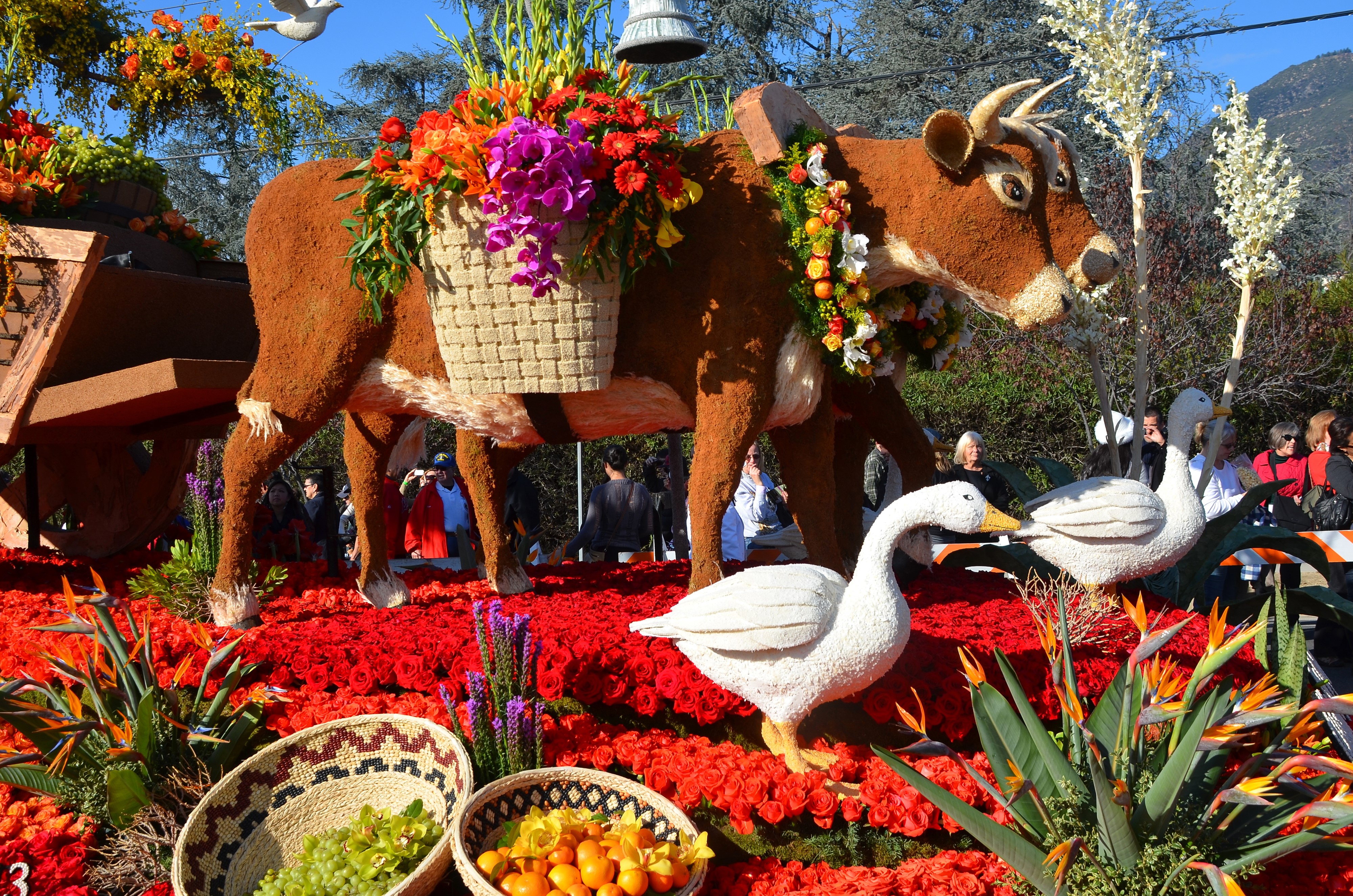 4K Rose Parade Pasadena Cow Float with Geese HD Wallpaper