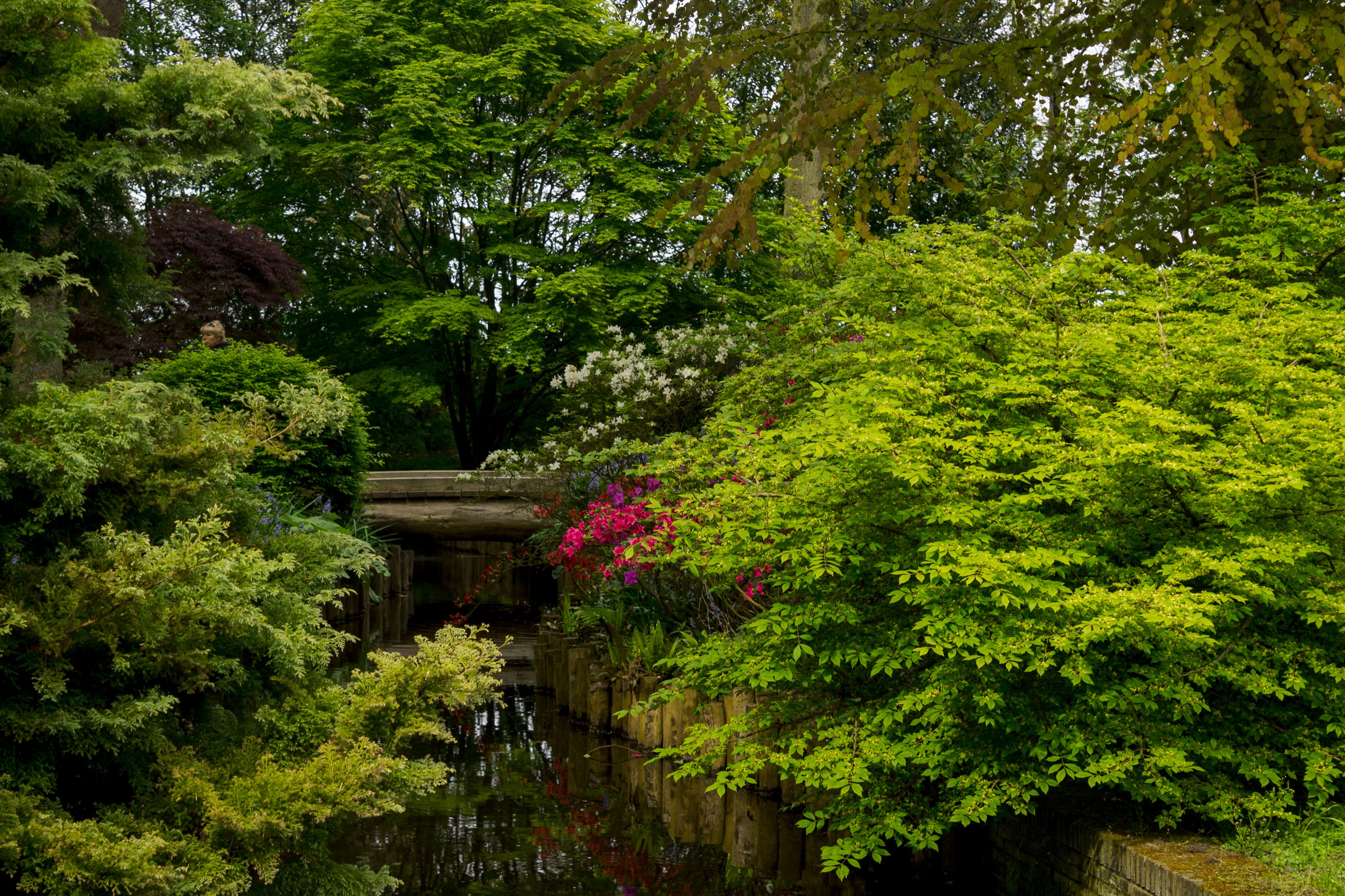 Canal and bridge surrounded by lush trees and shrubs HD Wallpaper