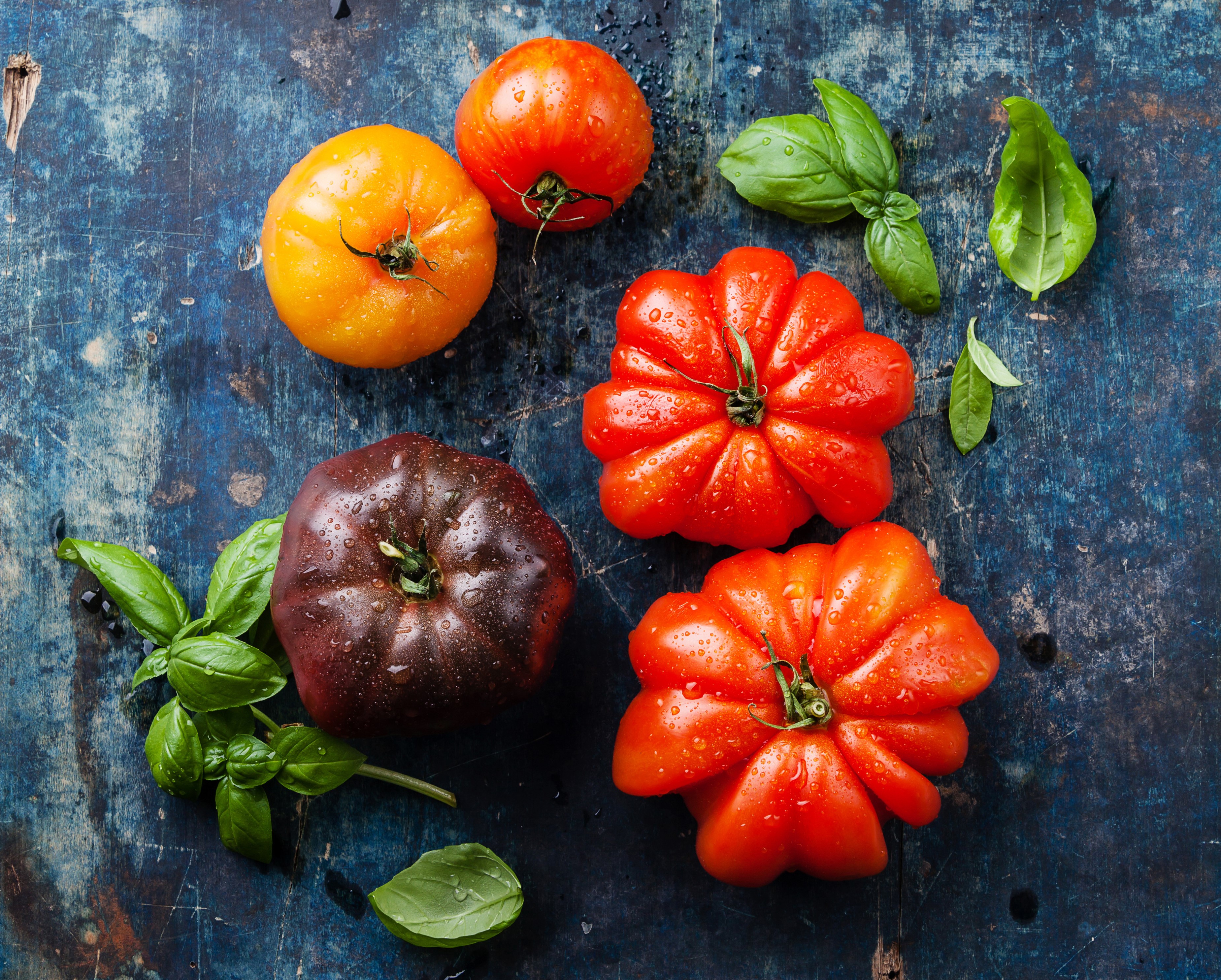 Heirloom tomatoes and basil on a dark blue surface HD Wallpaper