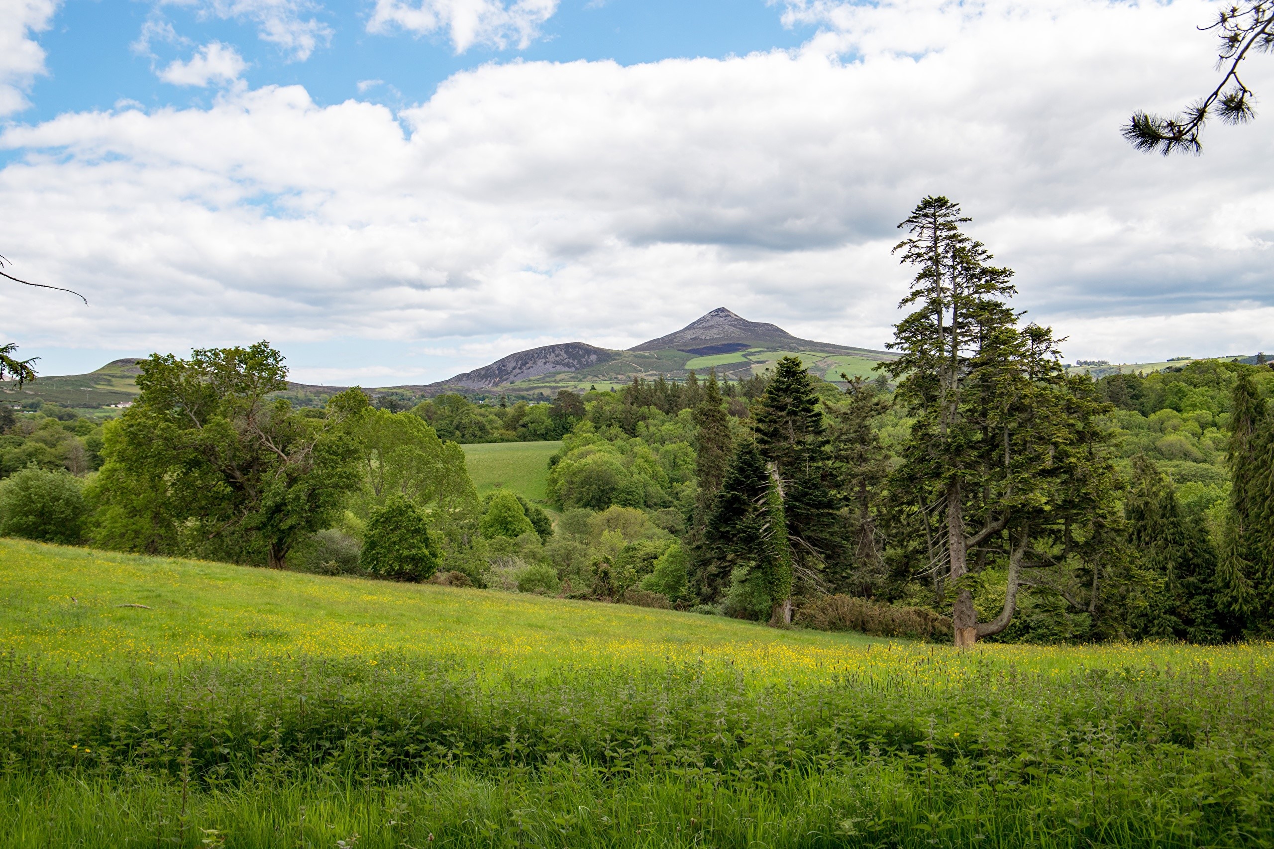 County Wicklow Ireland Landscape with Mountains and Forests HD Wallpaper