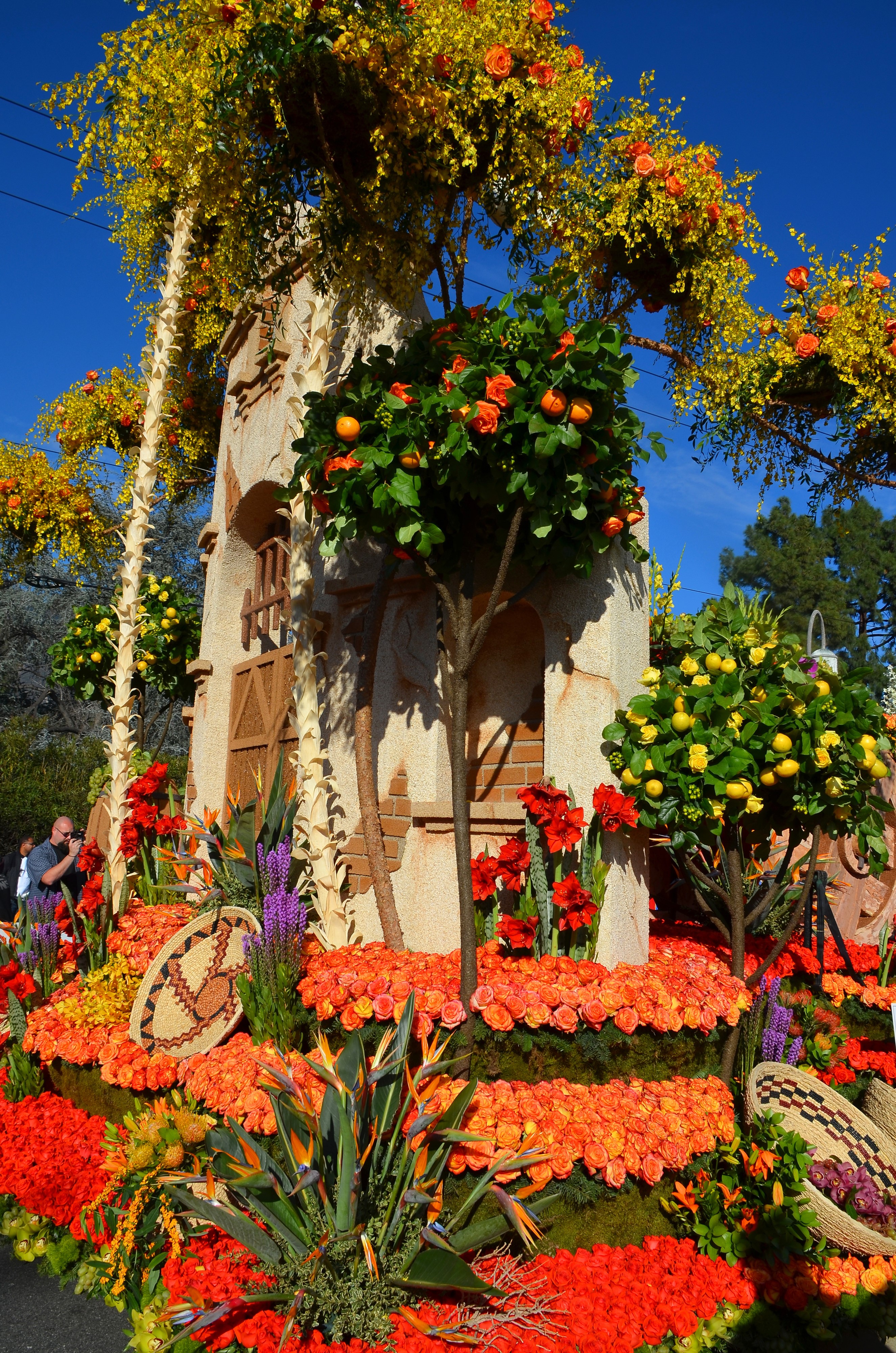 Rose Parade Float with Orange Roses and Citrus Trees HD Phone Wallpaper