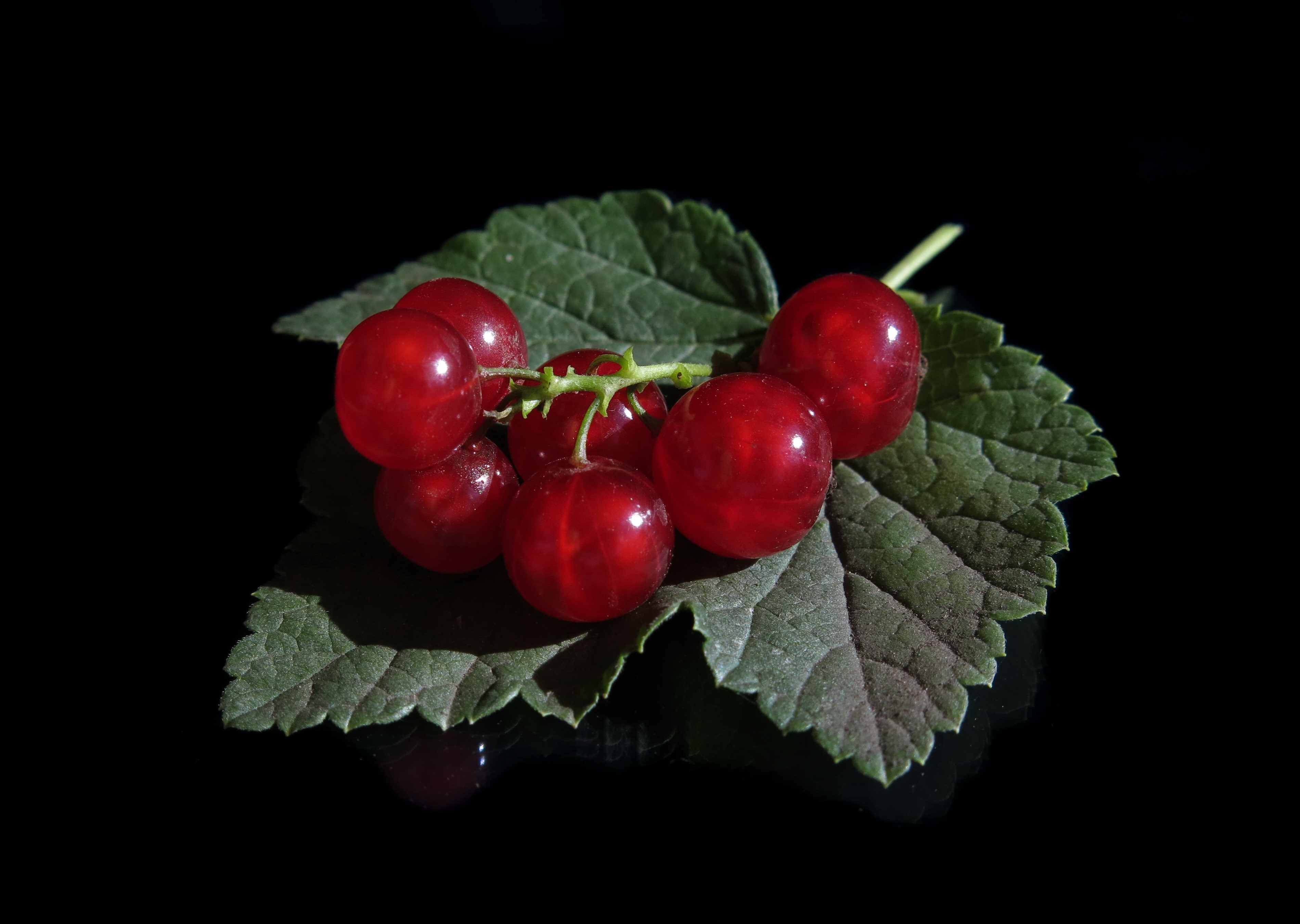 Red currants on a green leaf with black background HD Wallpaper