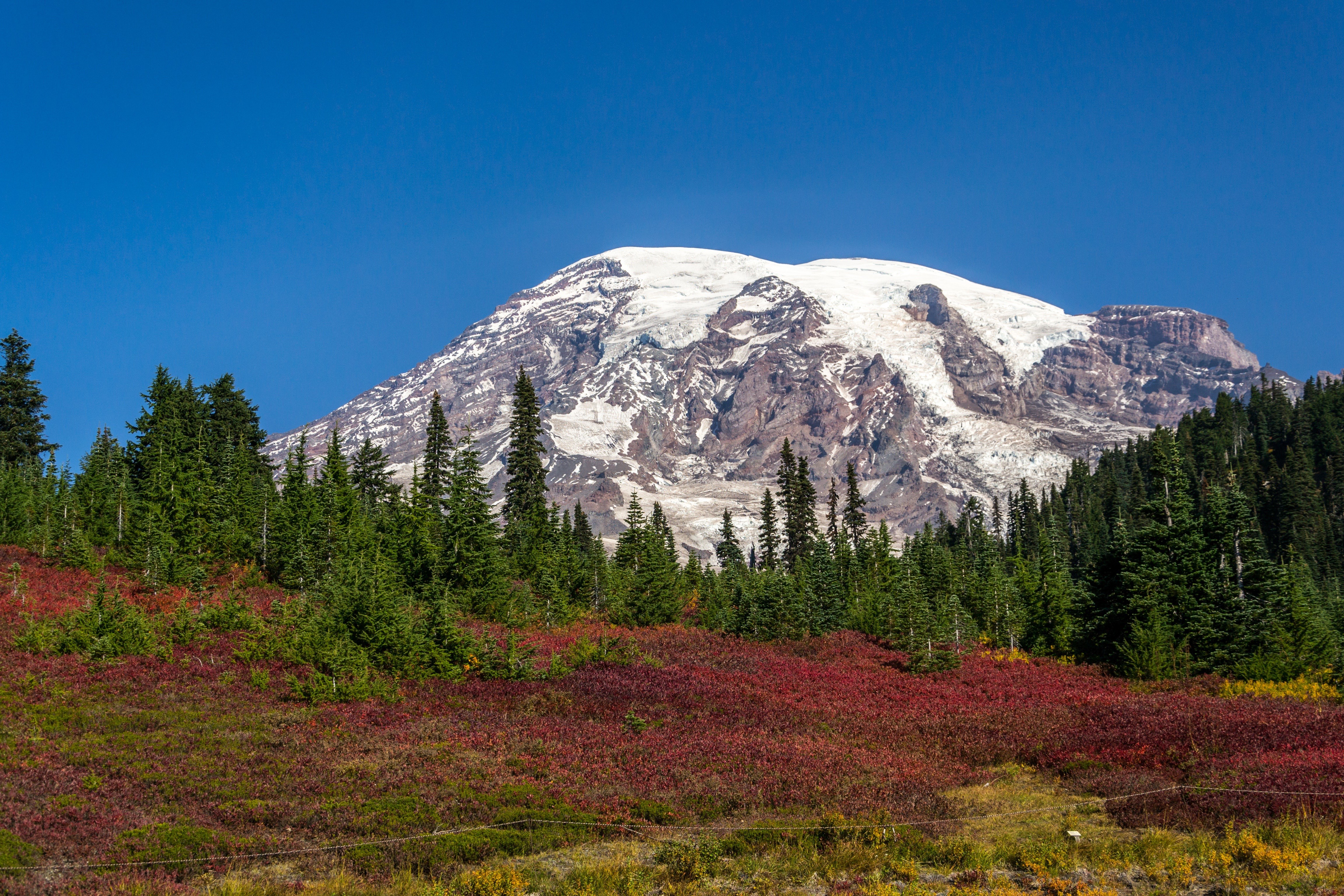 Mount Rainier National Park, Washington, USA HD Wallpaper