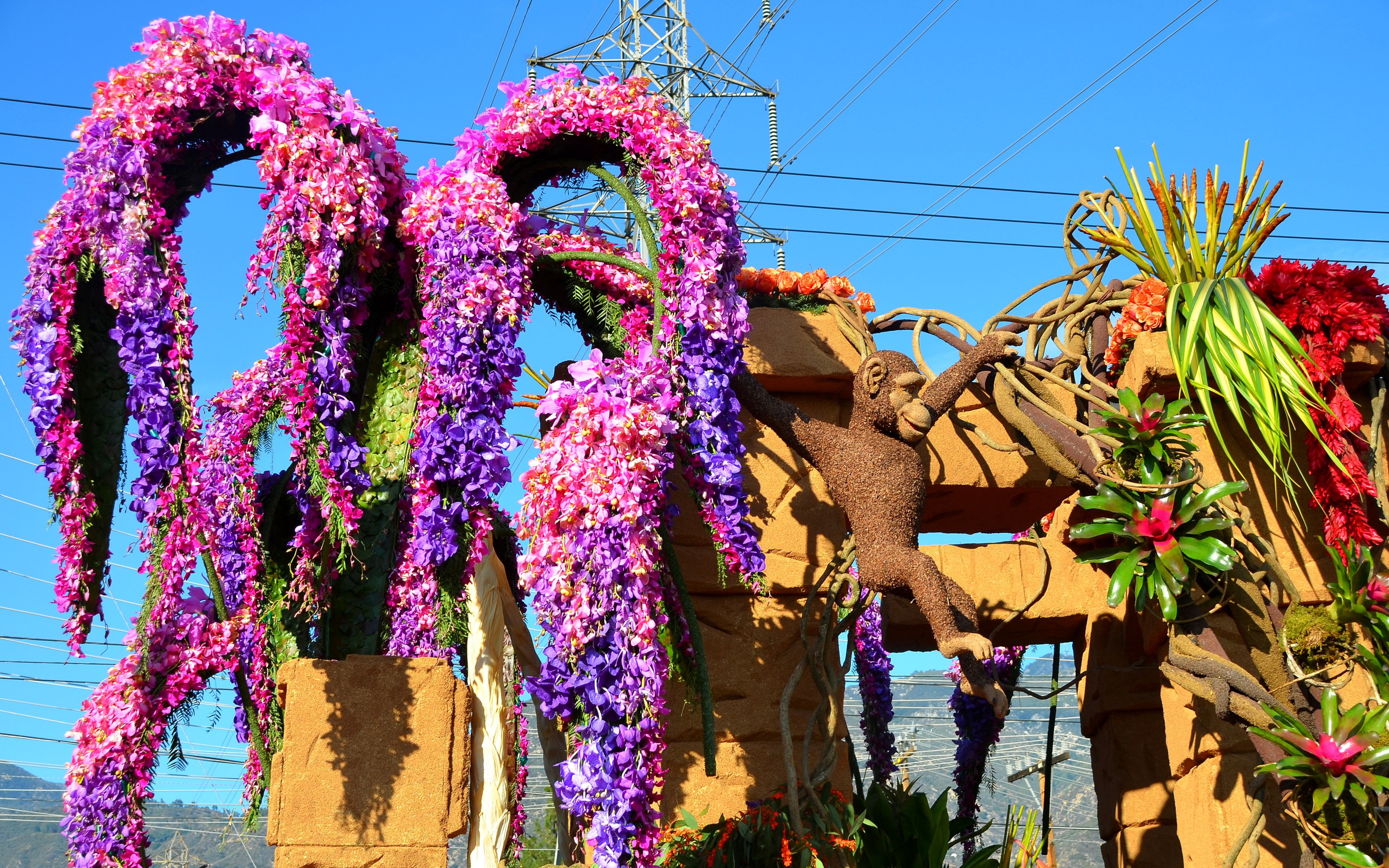 Rose Parade Pasadena Float with Monkey and Flowers HD Wallpaper