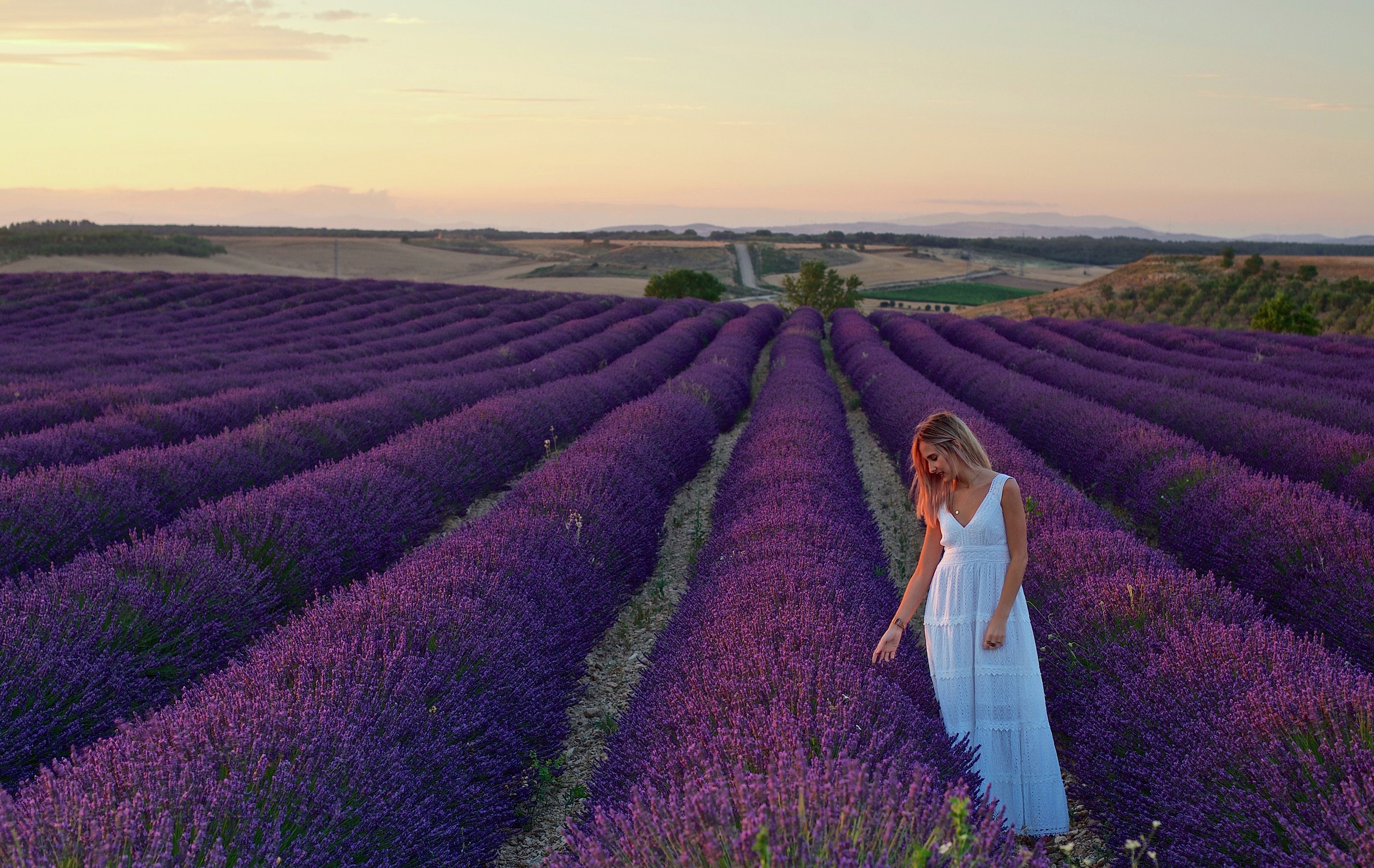 Woman in white dress in lavender field at sunset HD Wallpaper