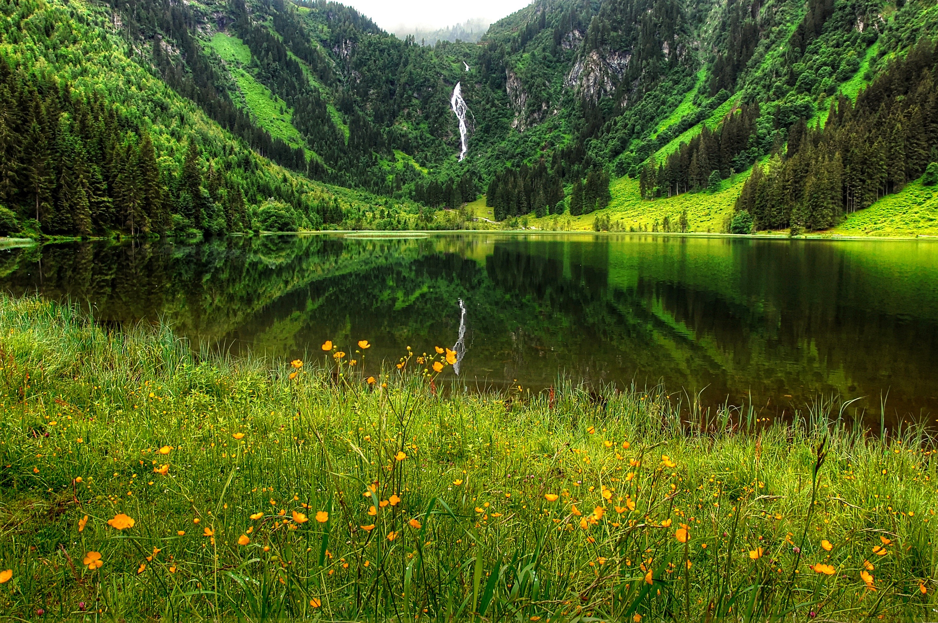 Mountain lake with waterfall and wildflowers HD Wallpaper