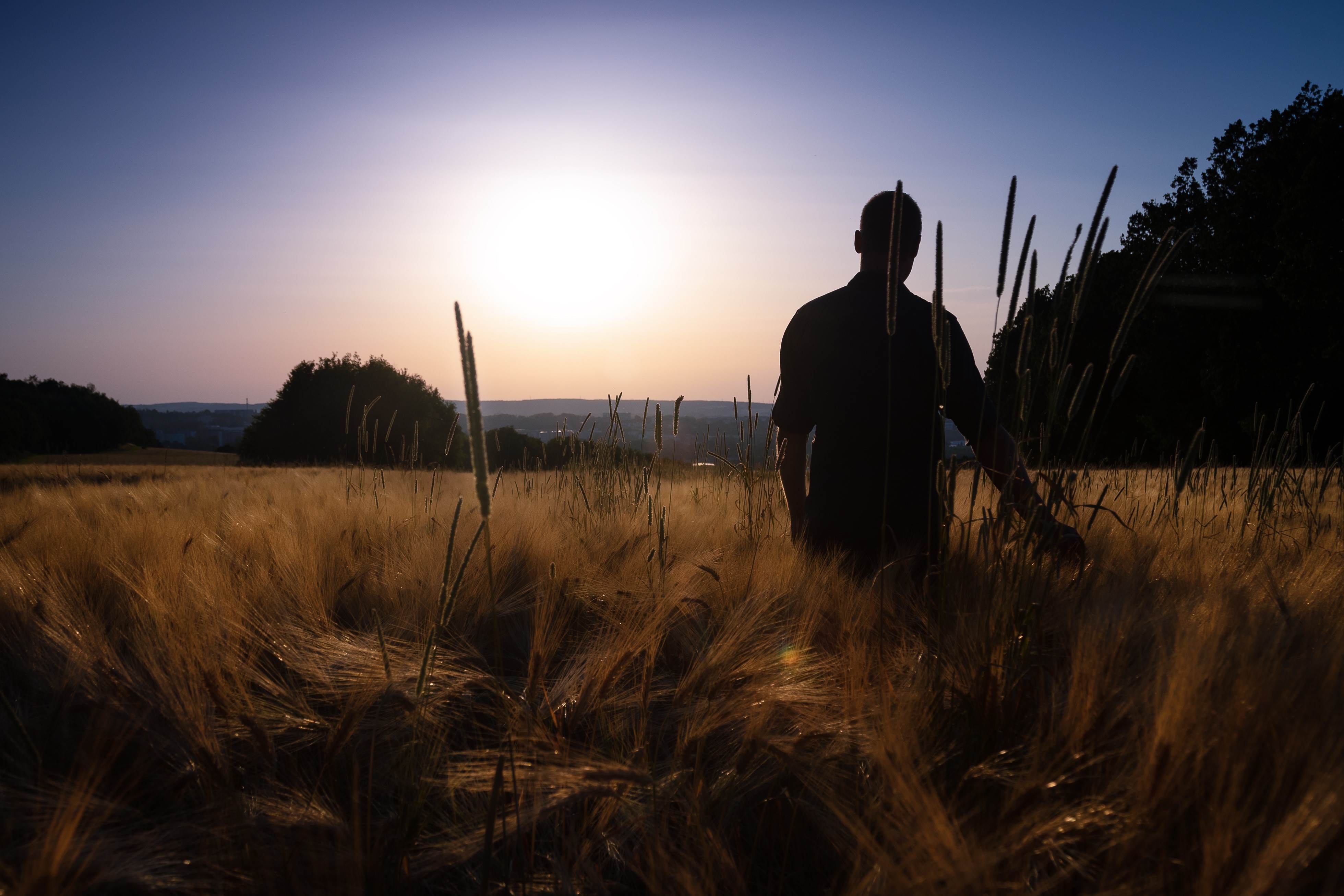 Man in a wheat field at sunset HD Wallpaper