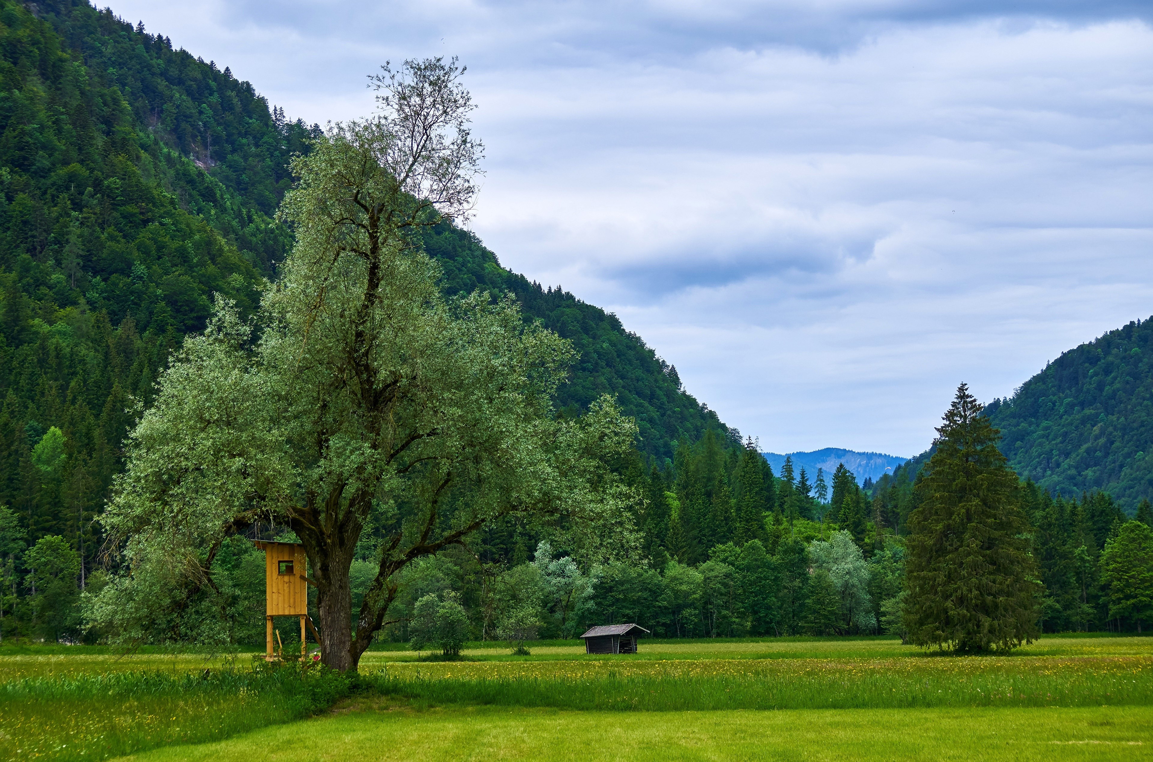 4K Kessen Tyrol Austria Mountains Grasslands Trees HD Wallpaper