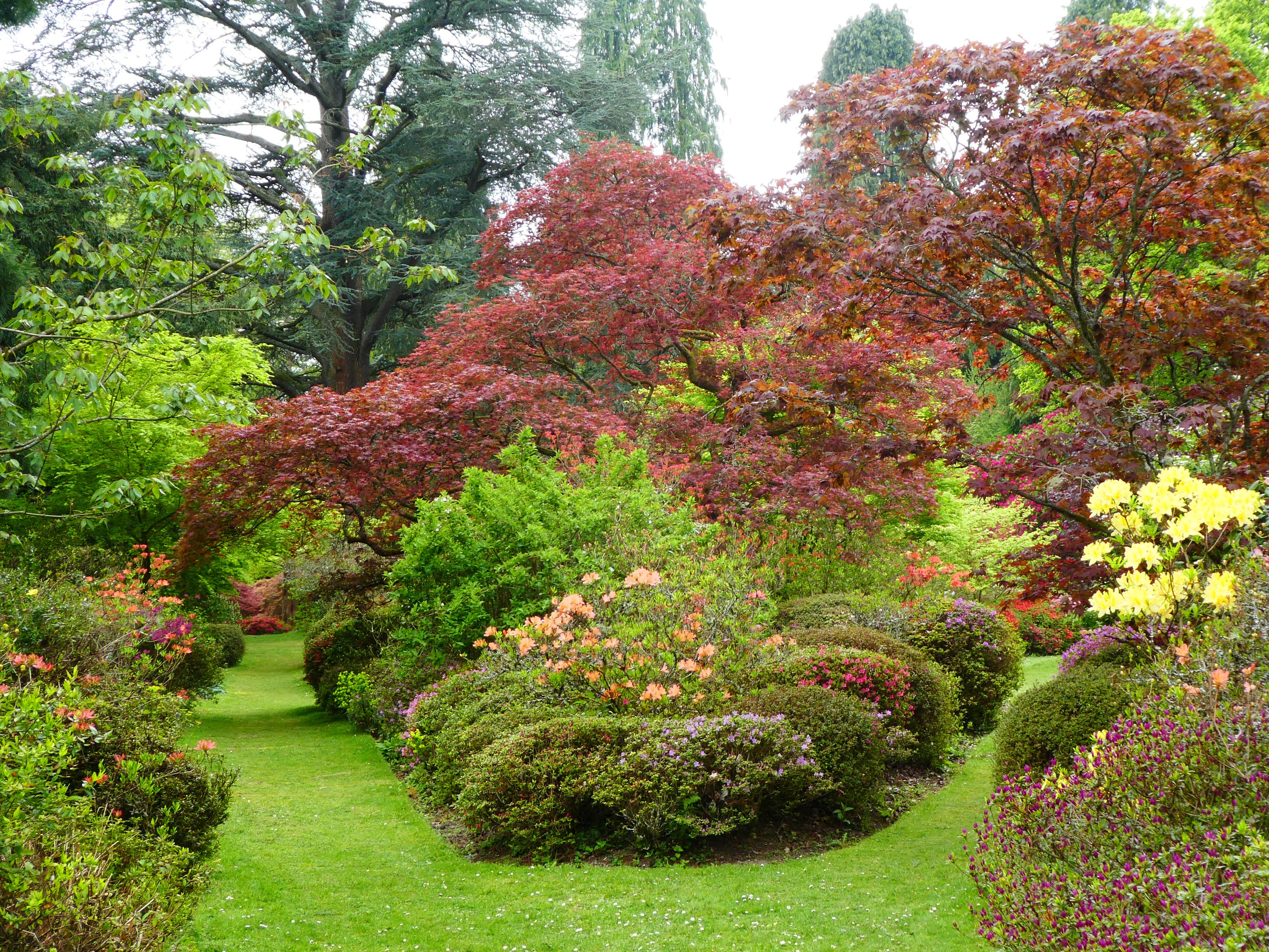 Ramster Gardens Surrey with Colorful Shrubs and Lawn HD Wallpaper