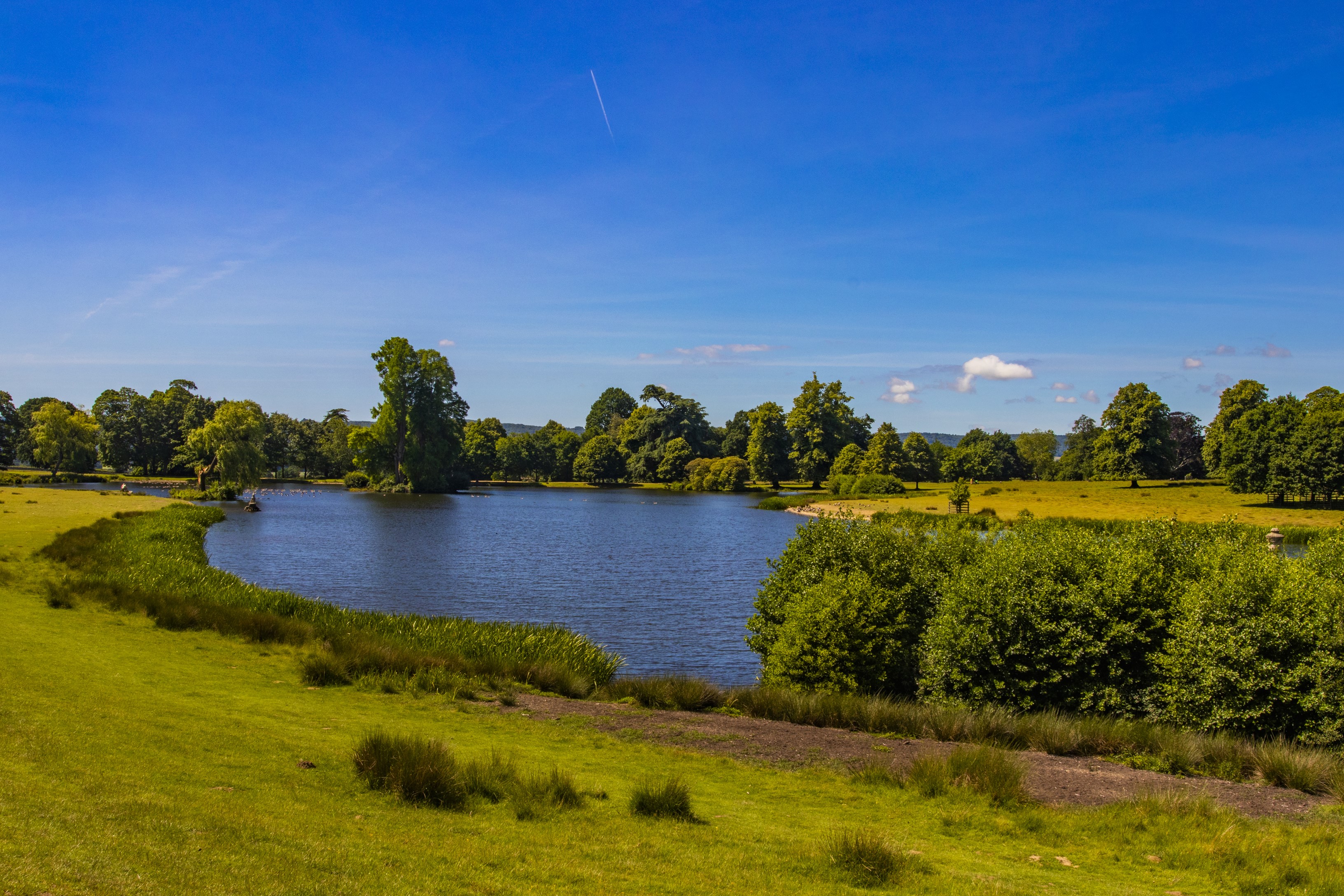 Petworth Park pond with trees and grass HD Wallpaper