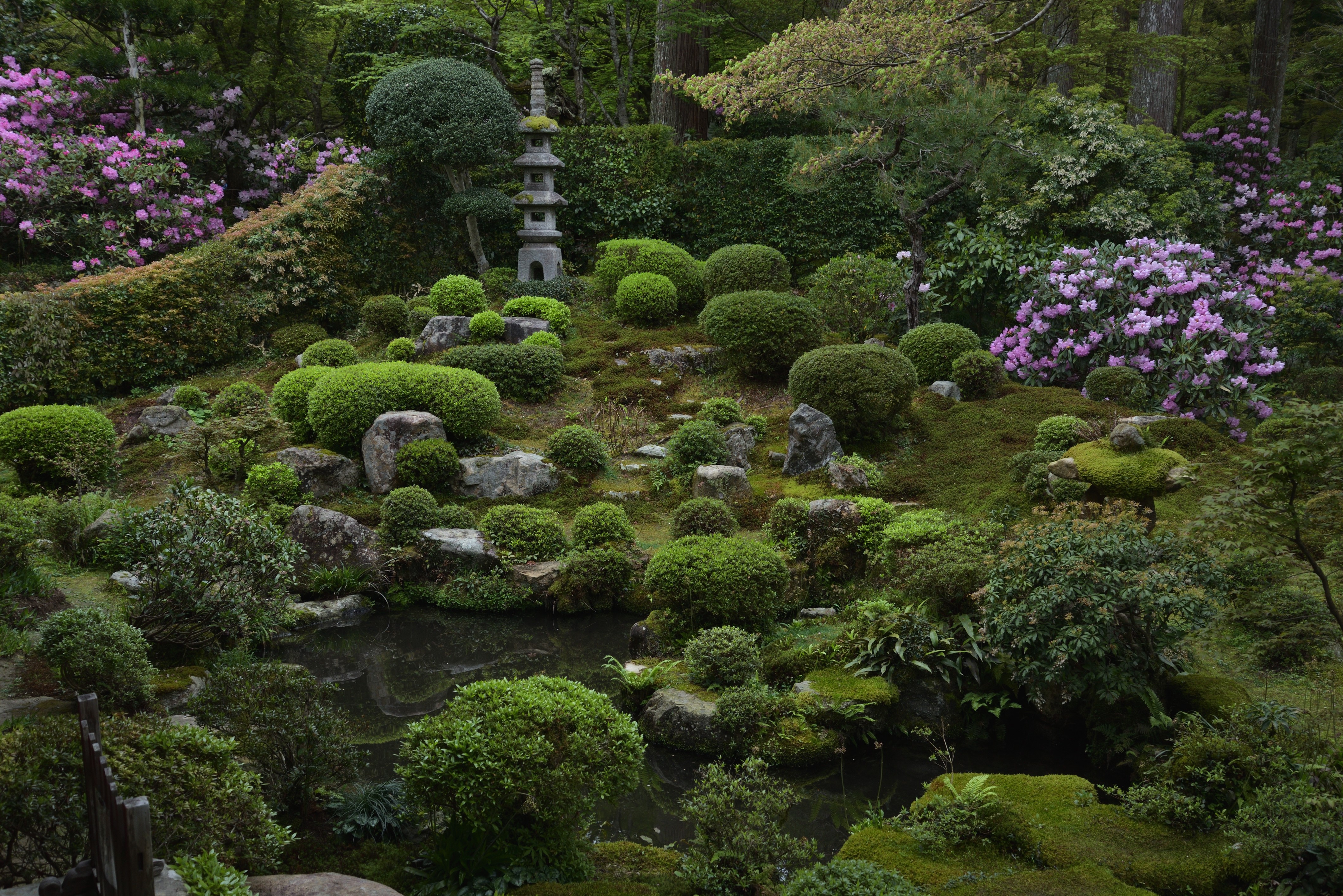 4K Japanese Garden with Rhododendrons and Pagoda HD Wallpaper