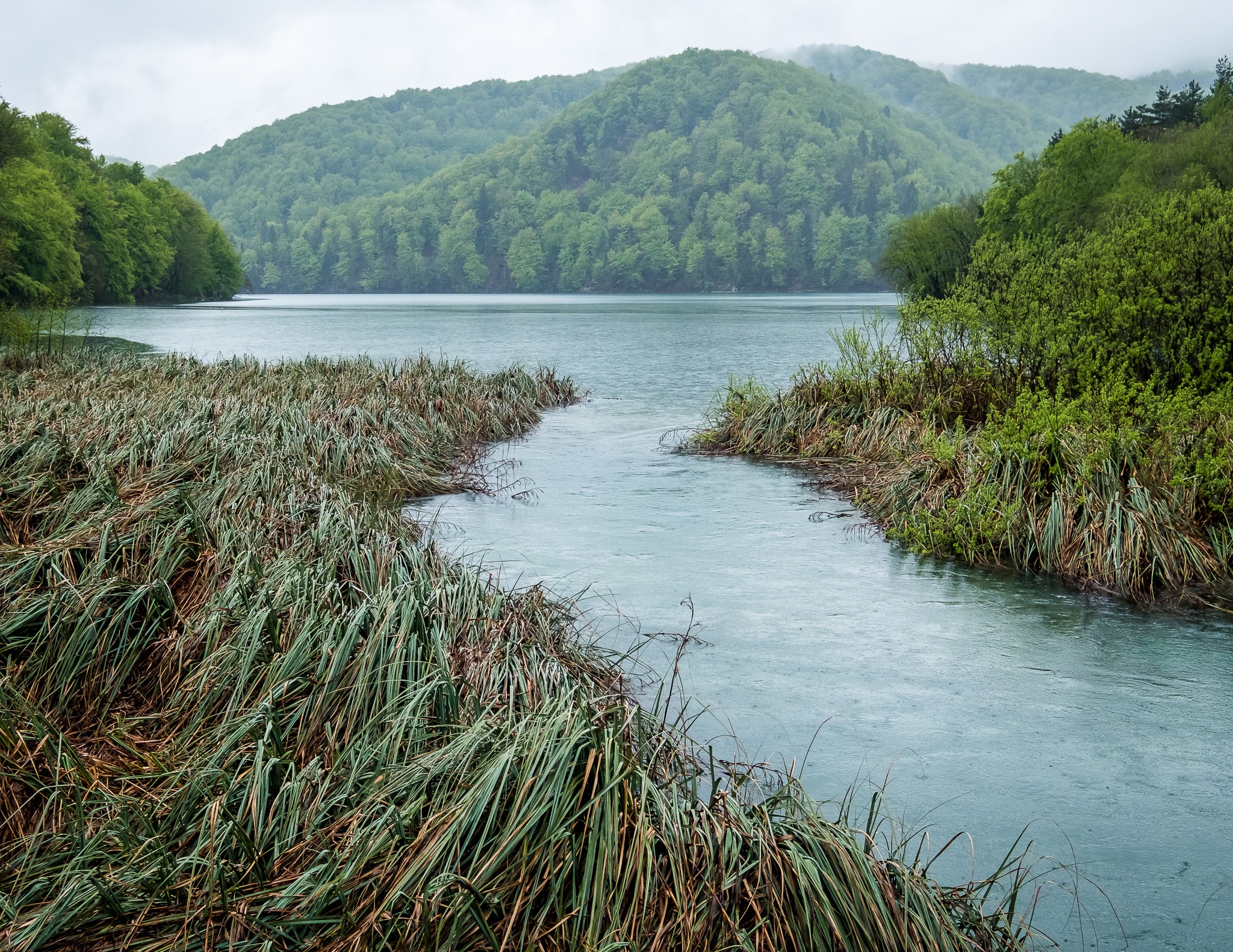 Lake and mountains in Plitvice Park, Croatia HD Wallpaper
