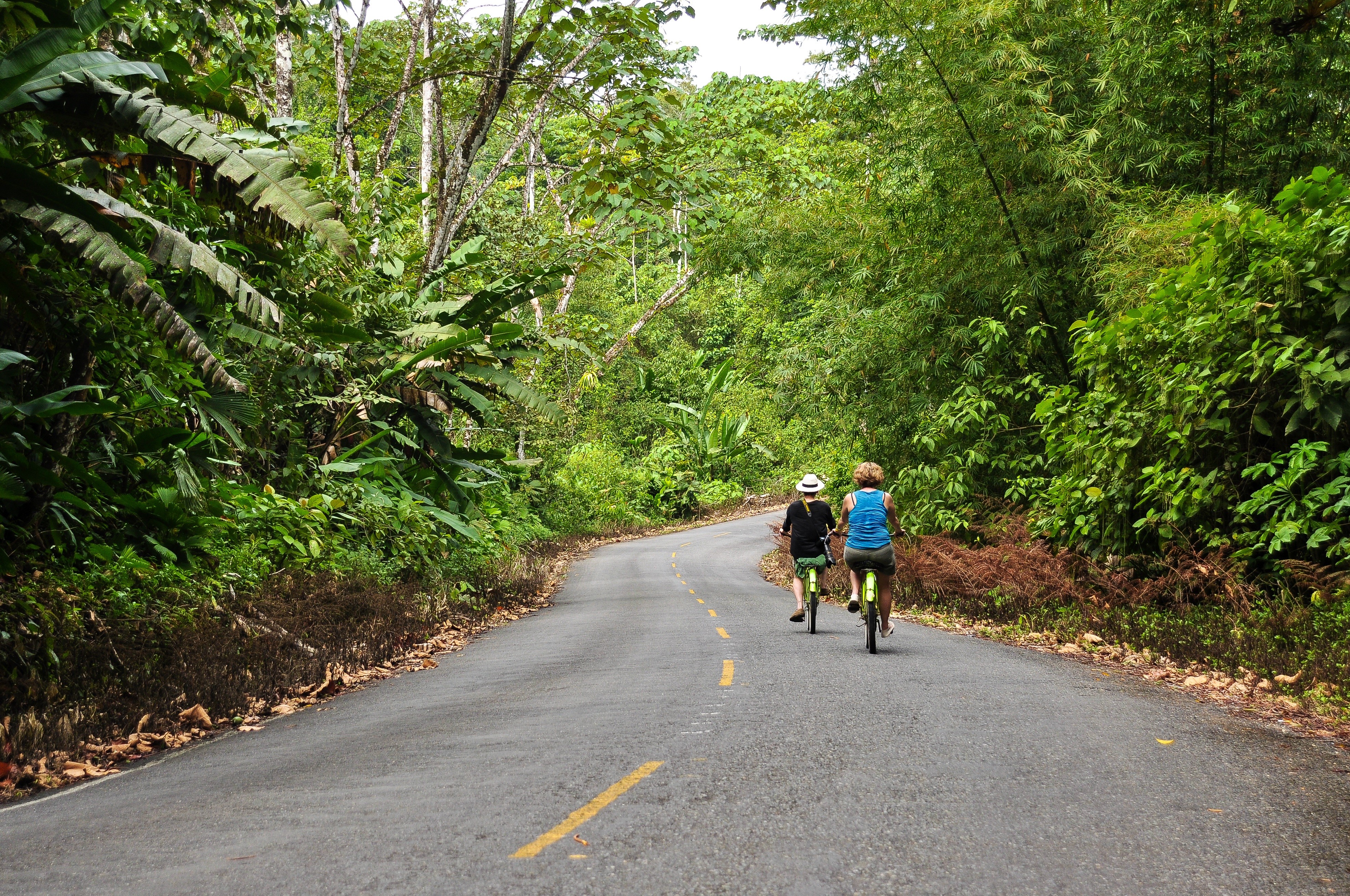 Two people cycling on a road in Bocas Del Toro, Panama HD Wallpaper