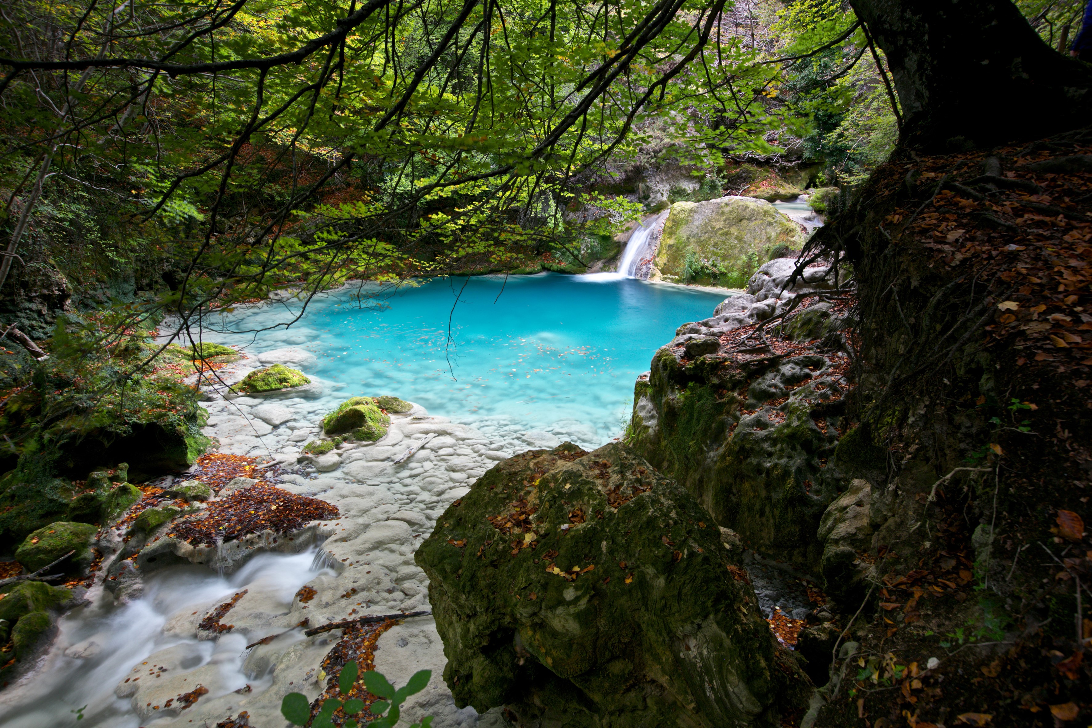 Turquoise Stream with Mossy Rocks in Navarra, Spain HD Wallpaper