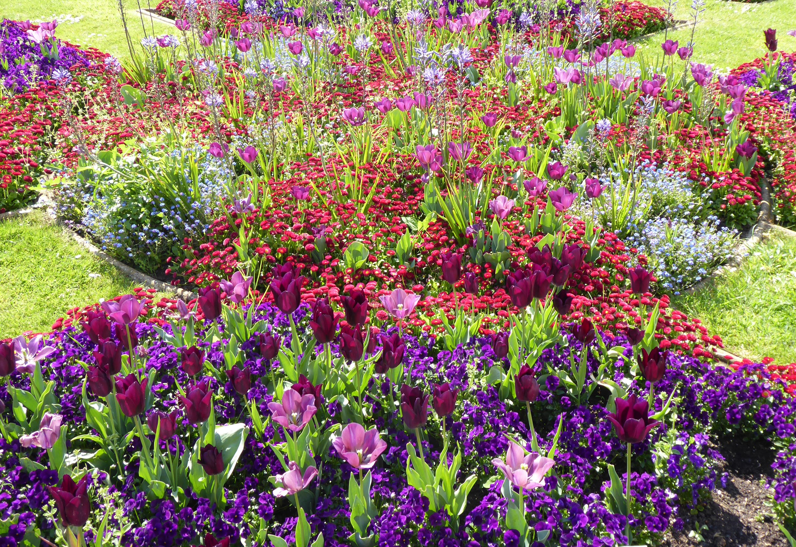 Flower bed with tulips and other flowers at Wrest Park HD Wallpaper
