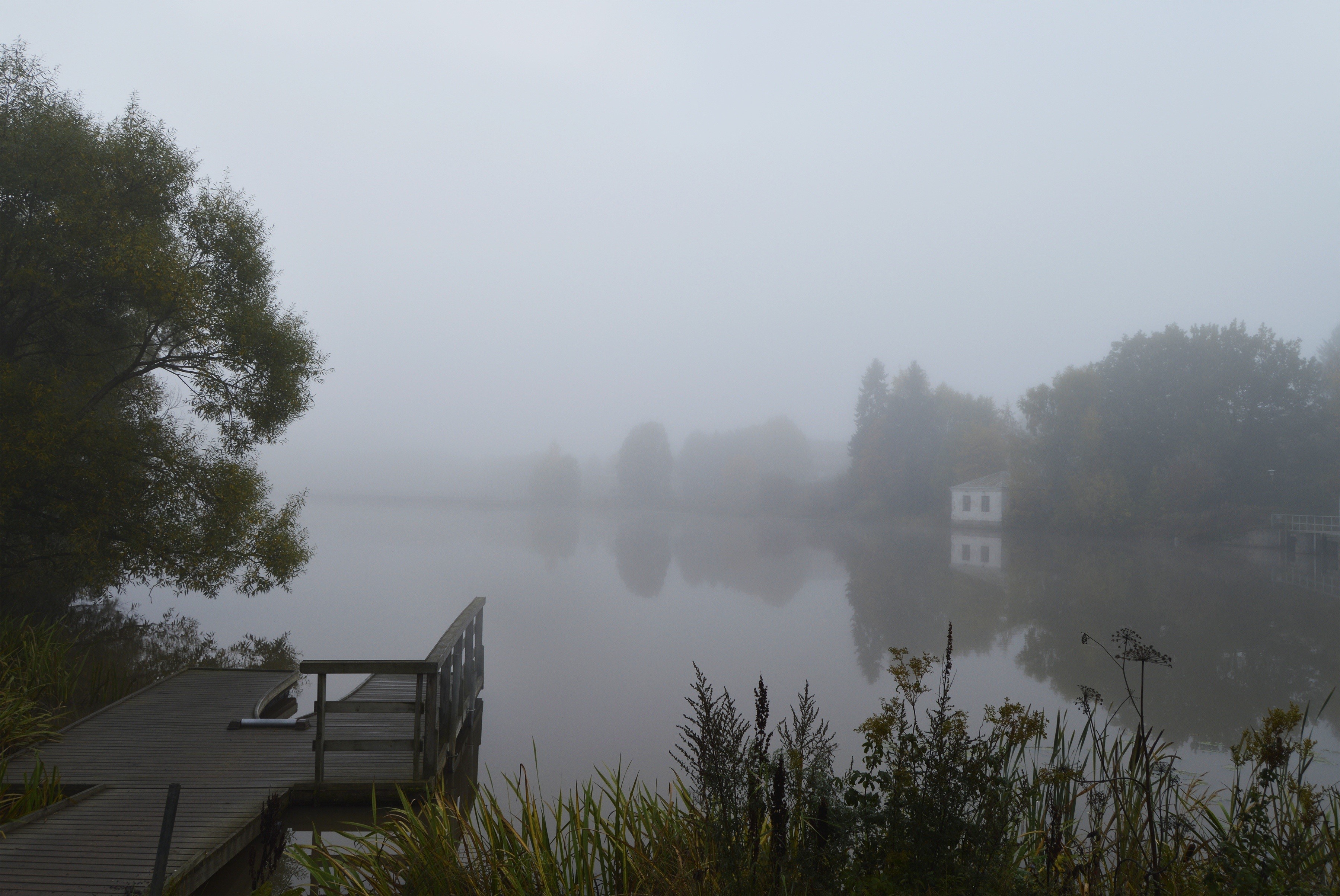 Foggy morning by a lake with a small white house HD Wallpaper