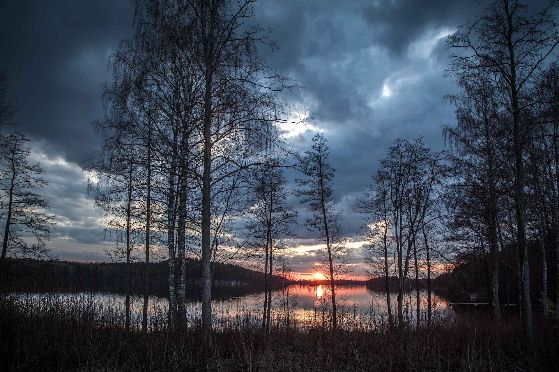 Sunset over a lake with birch trees HD Wallpaper