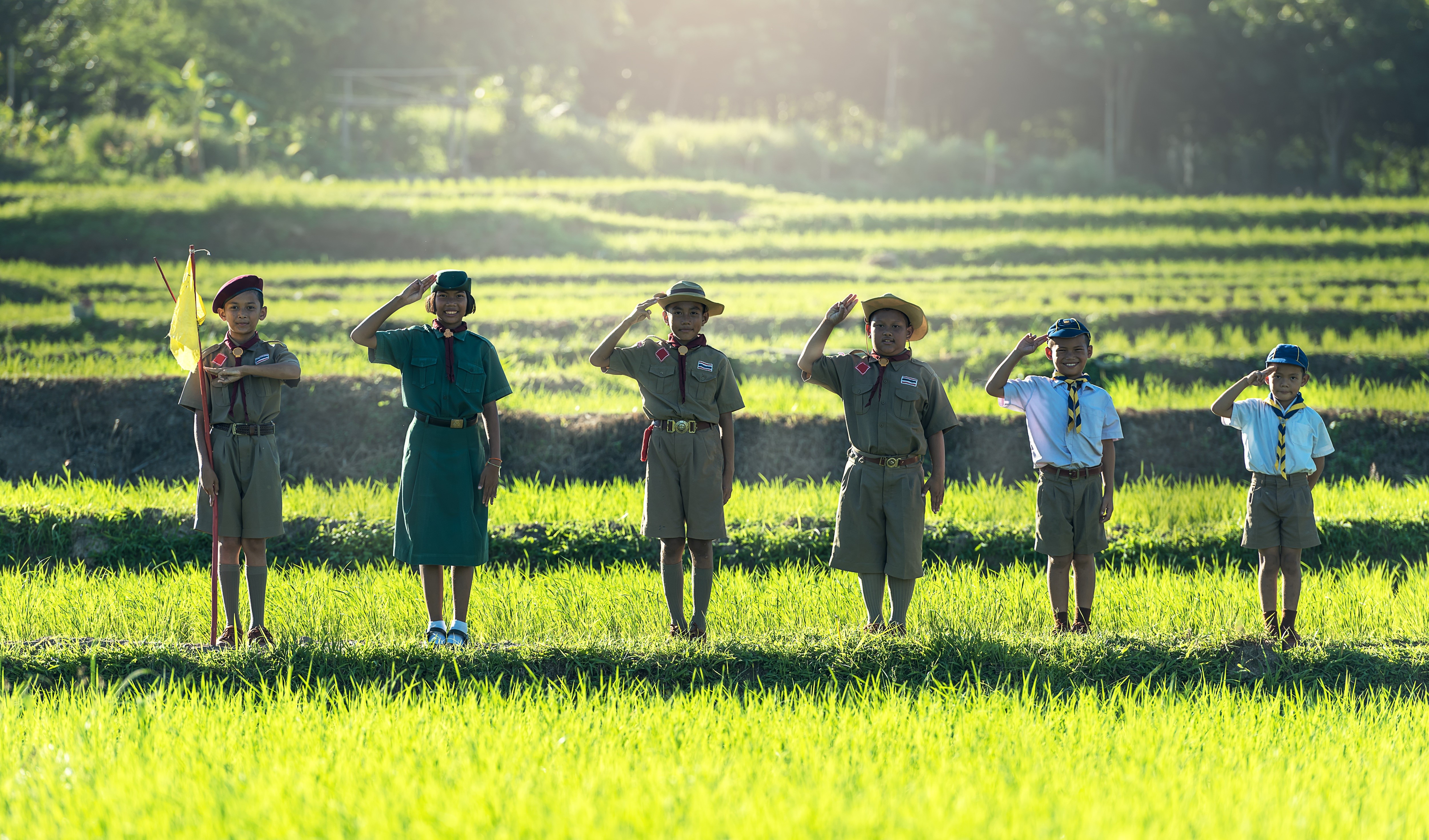 Scouts in Uniform Saluting in a Field HD Wallpaper