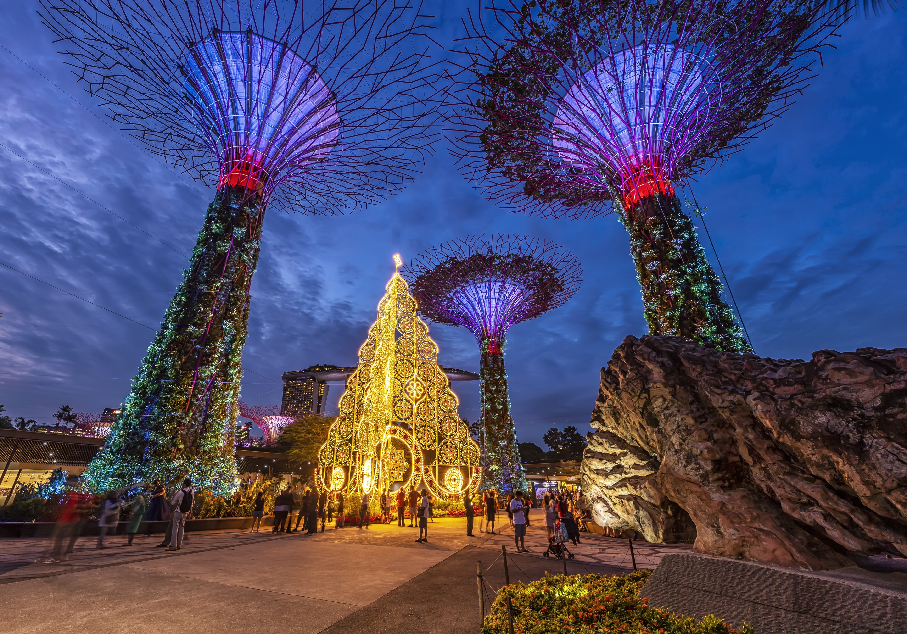 Gardens by The Bay Christmas Tree and Supertrees at Dusk HD Wallpaper