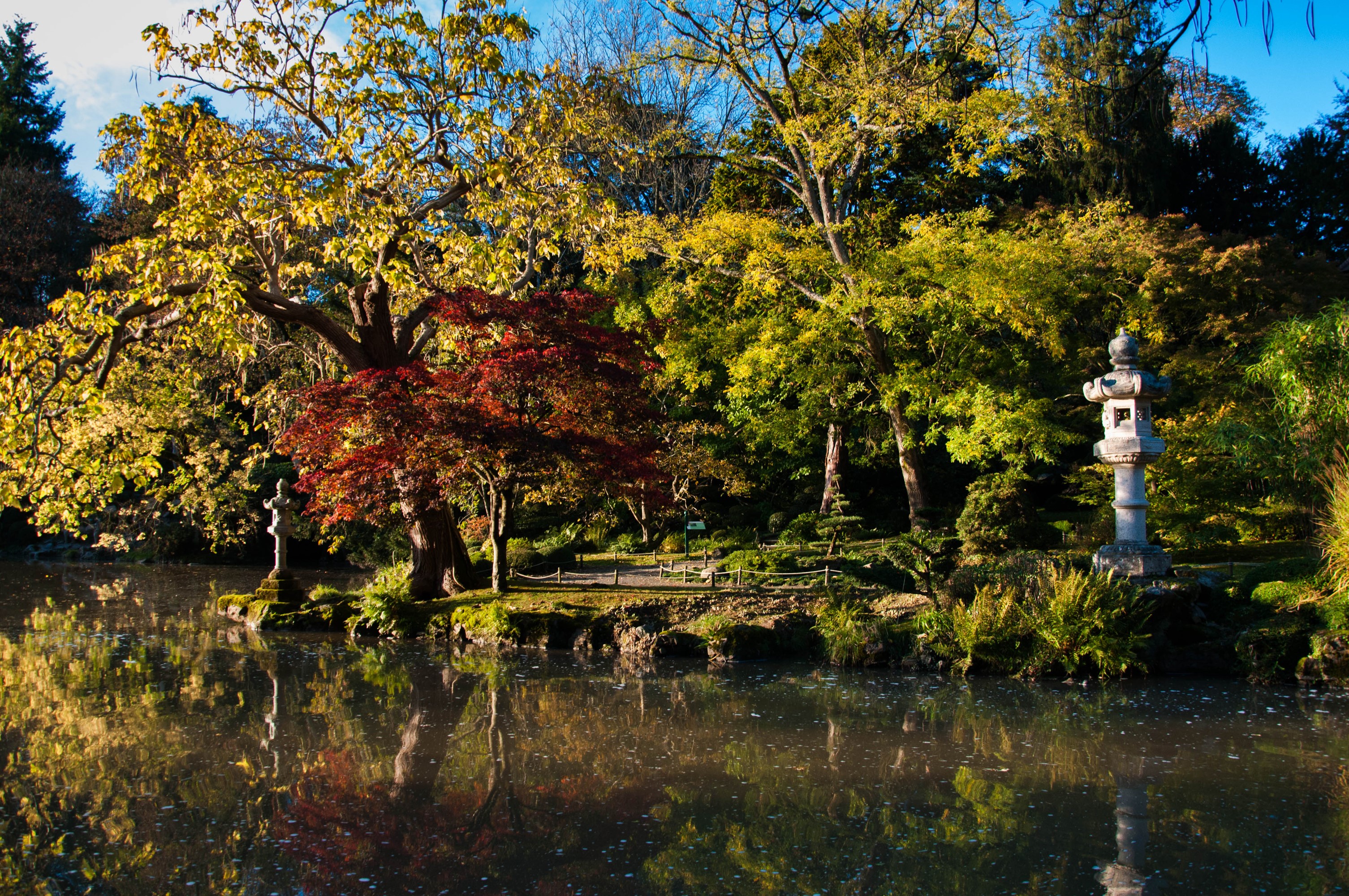 Autumn park with pond and Japanese lantern HD Wallpaper