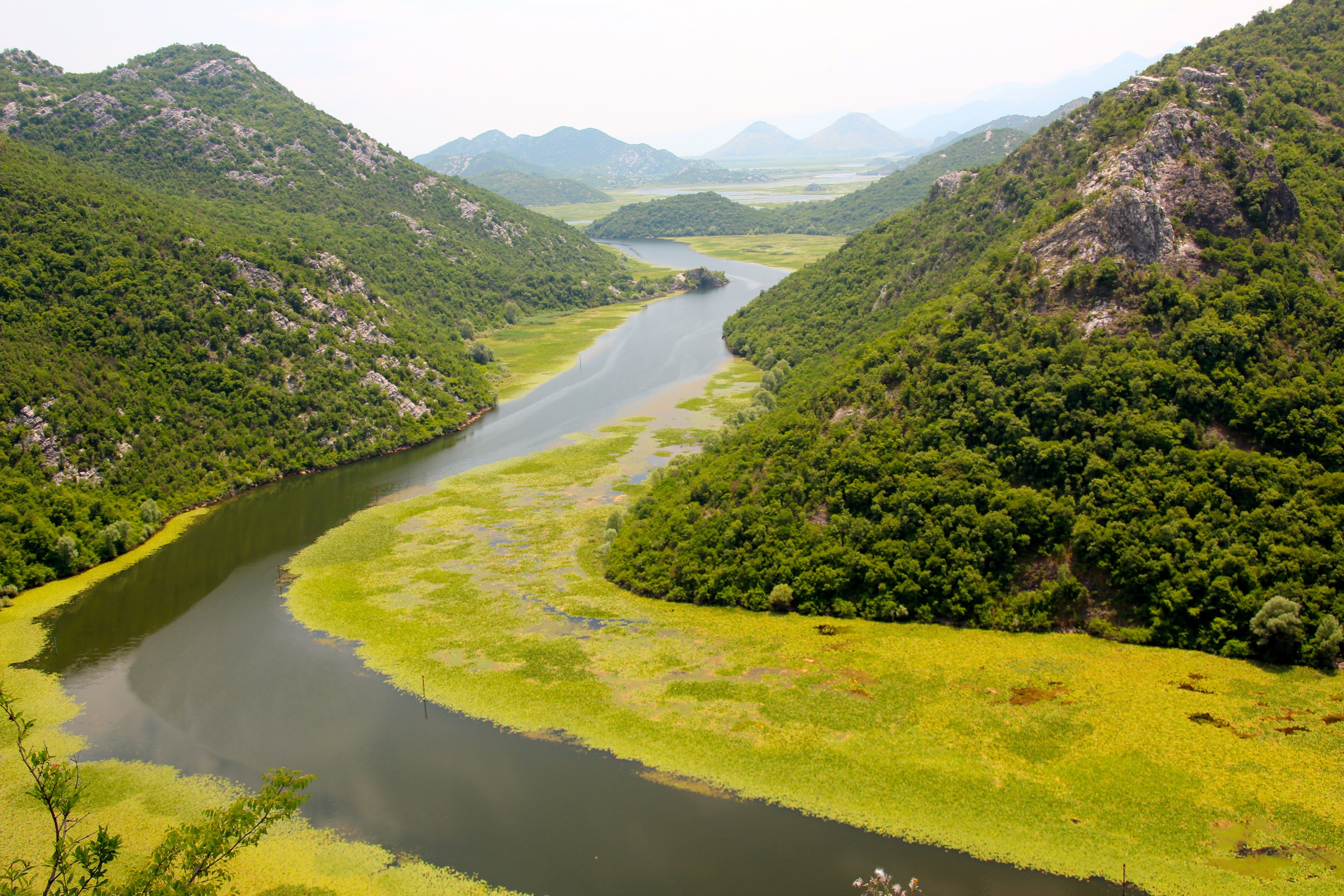 River winding through green mountains in Montenegro HD Wallpaper