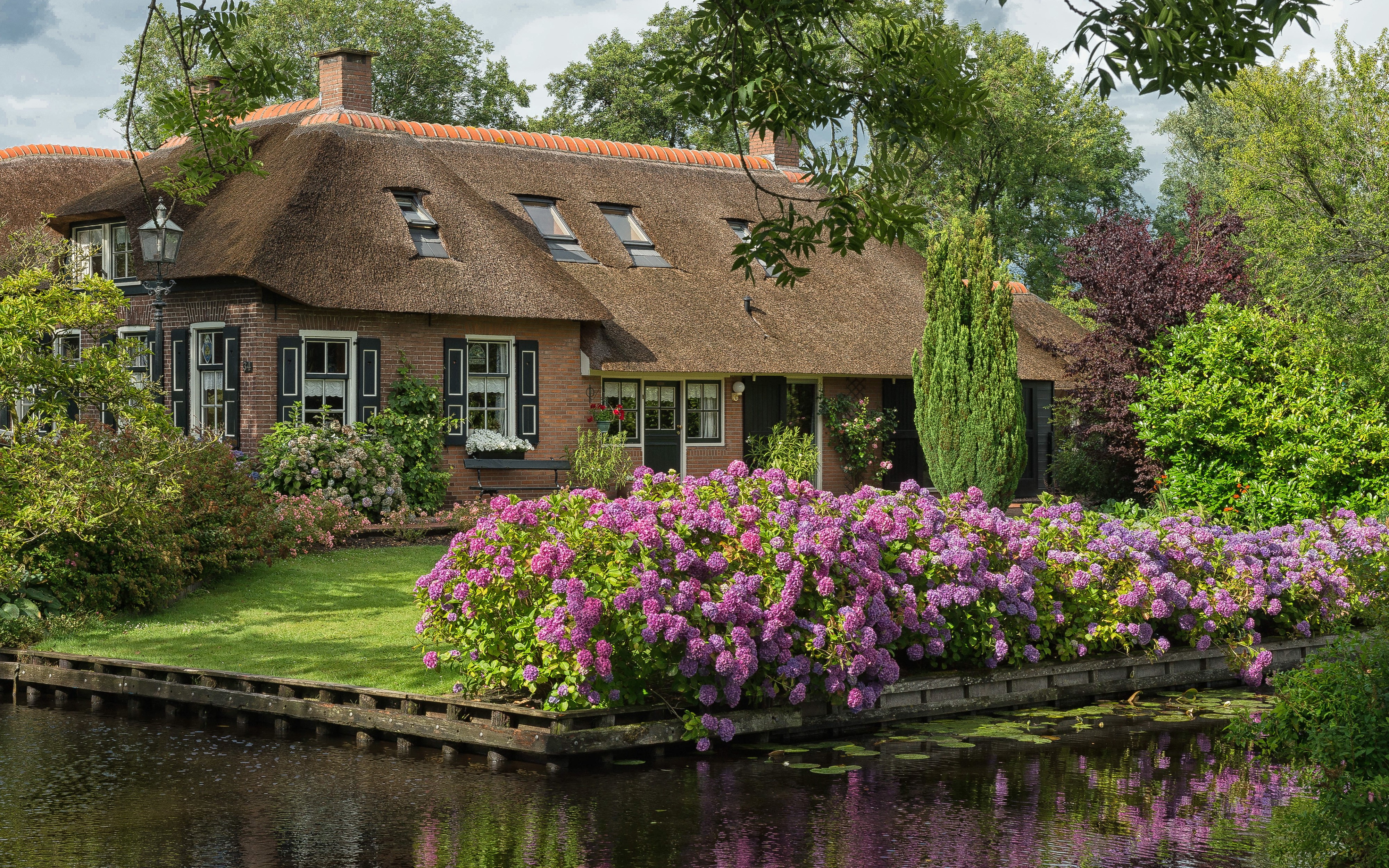 Thatched roof house with hydrangeas by a canal in Giethoorn HD Wallpaper