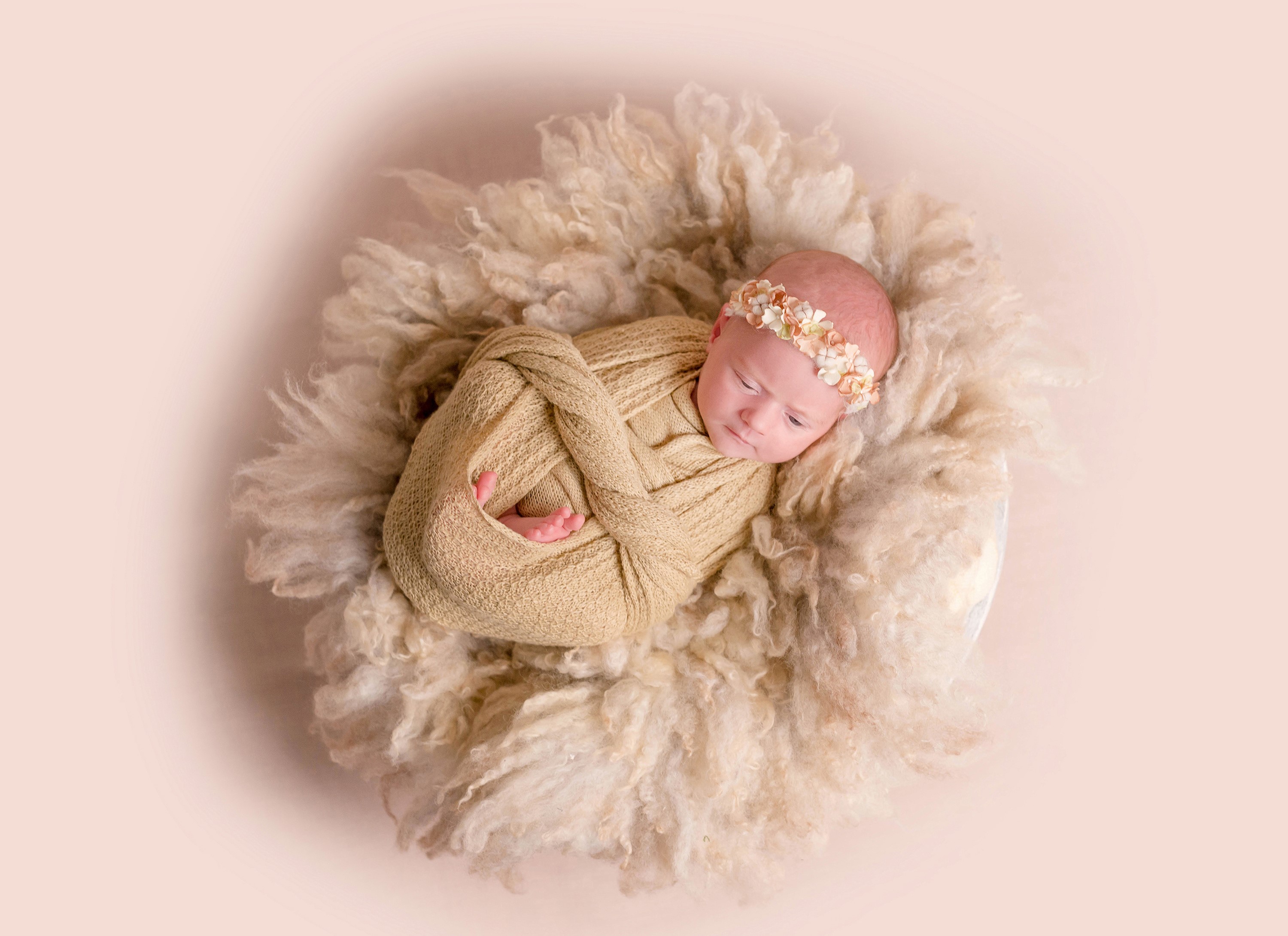 Newborn baby wrapped in a blanket with a floral headband HD Wallpaper