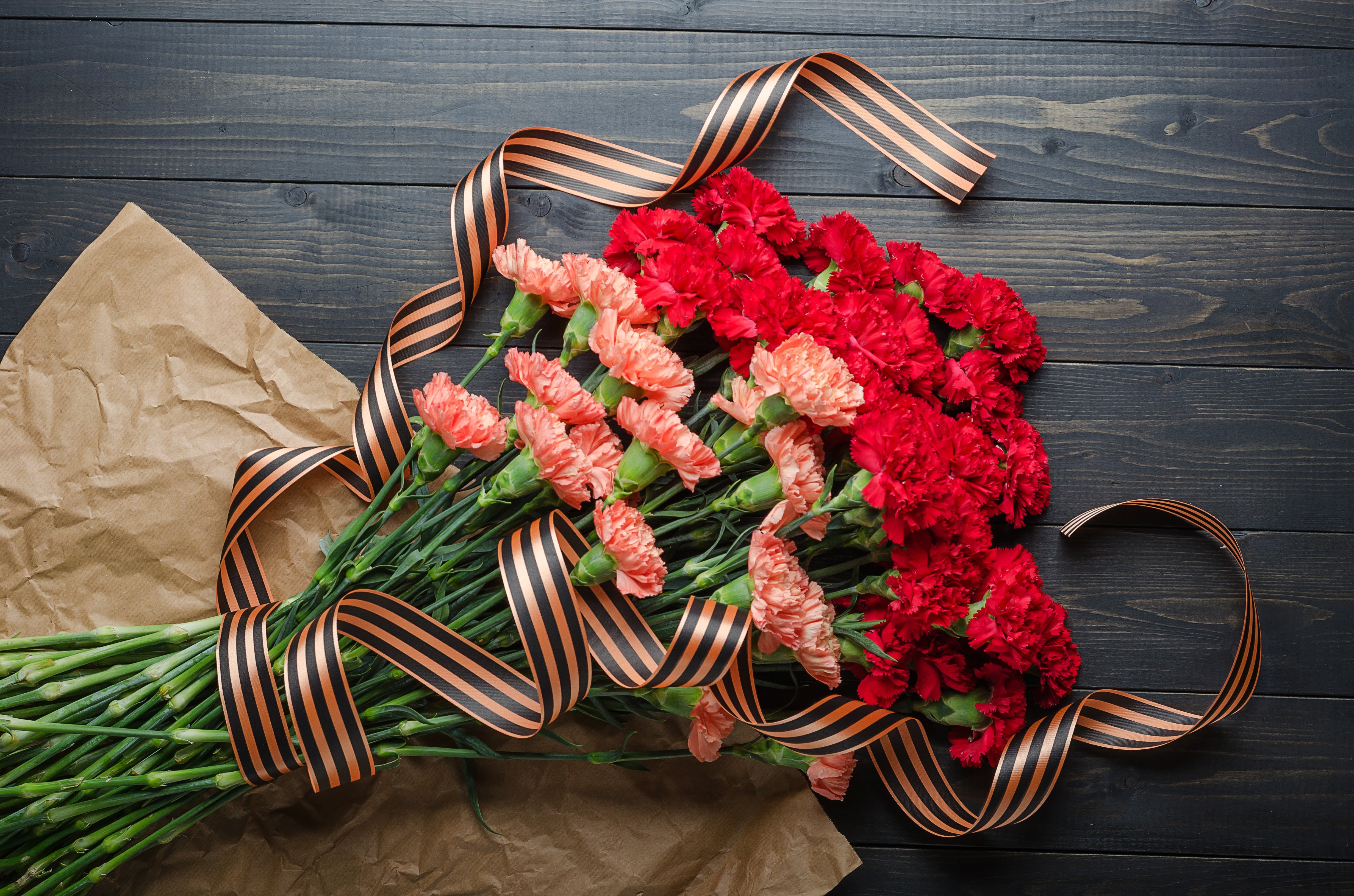 Bouquet of Carnations with St. George Ribbon HD Wallpaper