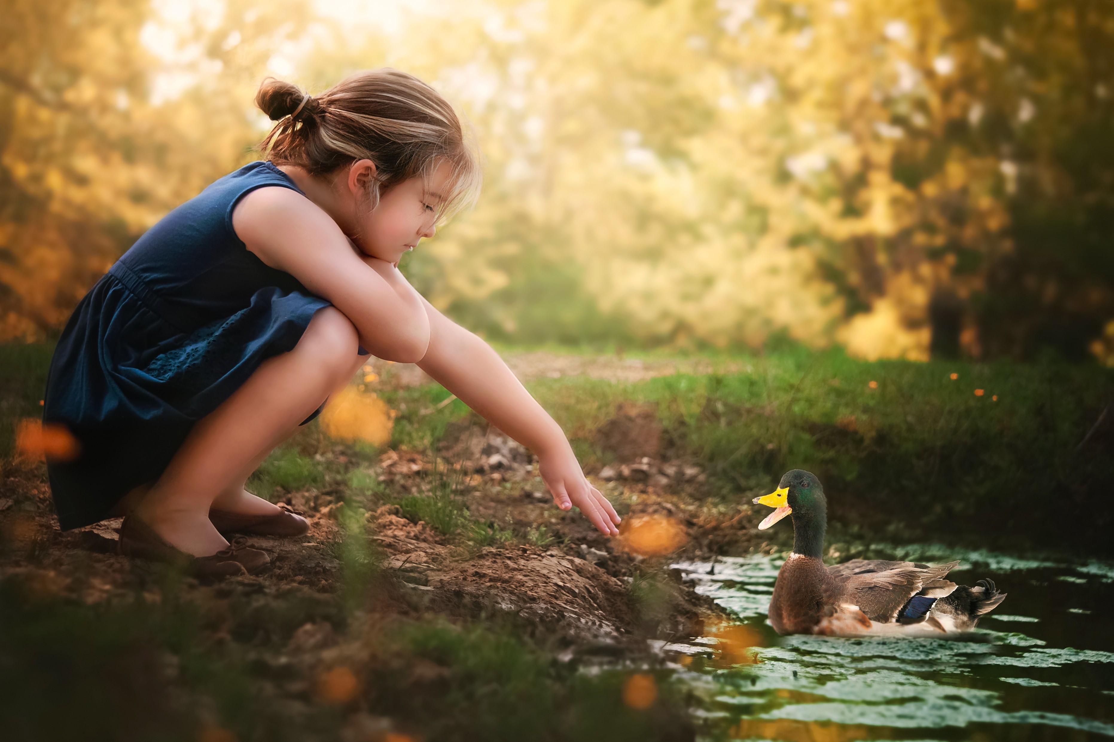 Girl reaching for a duck in a pond HD Wallpaper