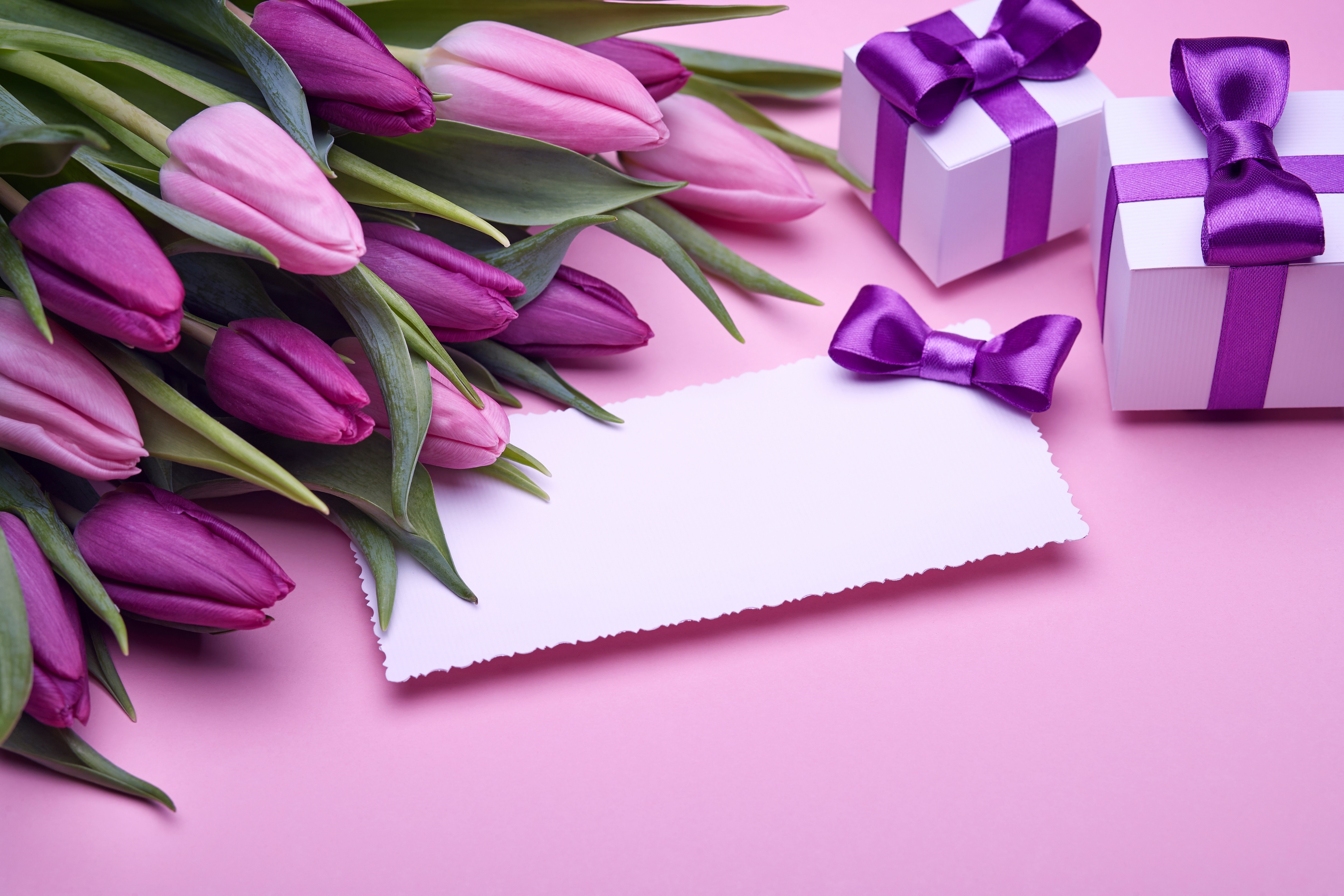 Tulips and gifts with a greeting card HD Wallpaper