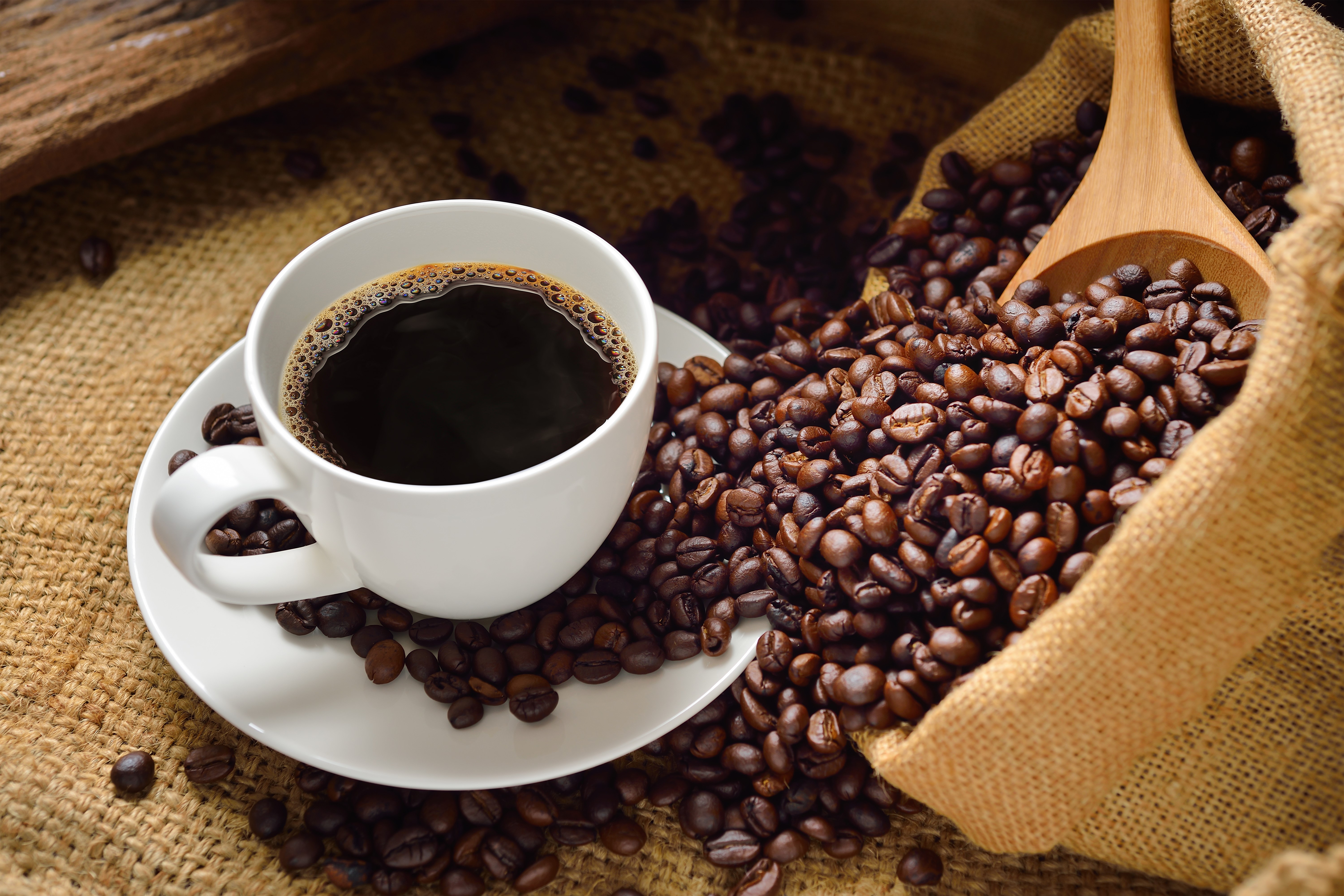 Coffee cup and beans in burlap sack HD Wallpaper