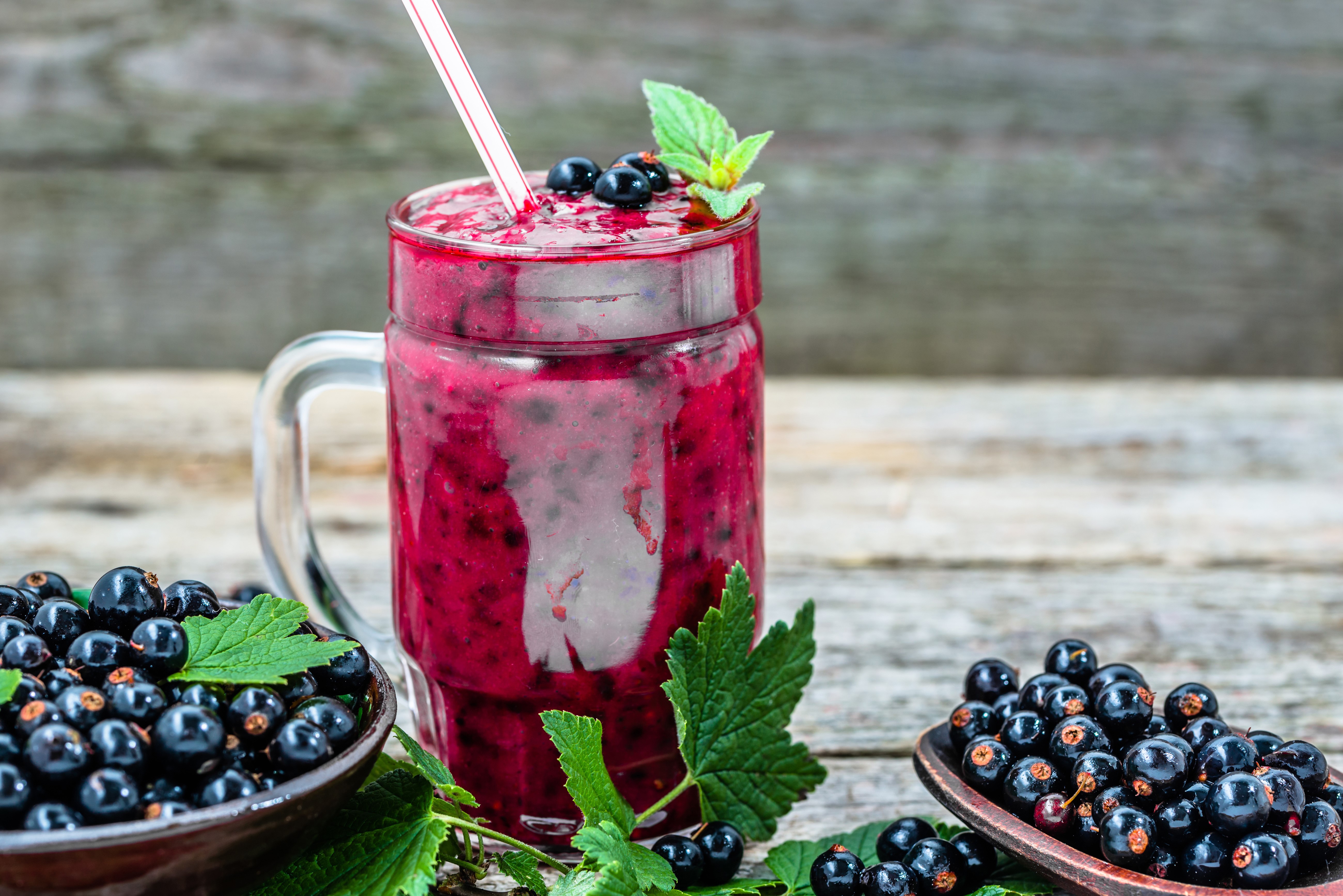 Blackcurrant Smoothie in a Mug with Fresh Berries HD Wallpaper