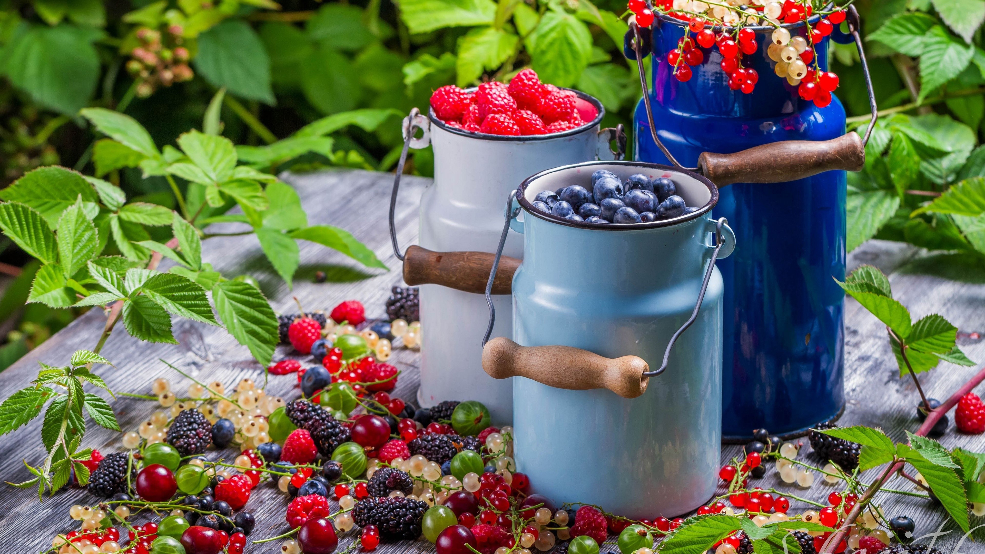 Berries in Buckets HD Wallpaper