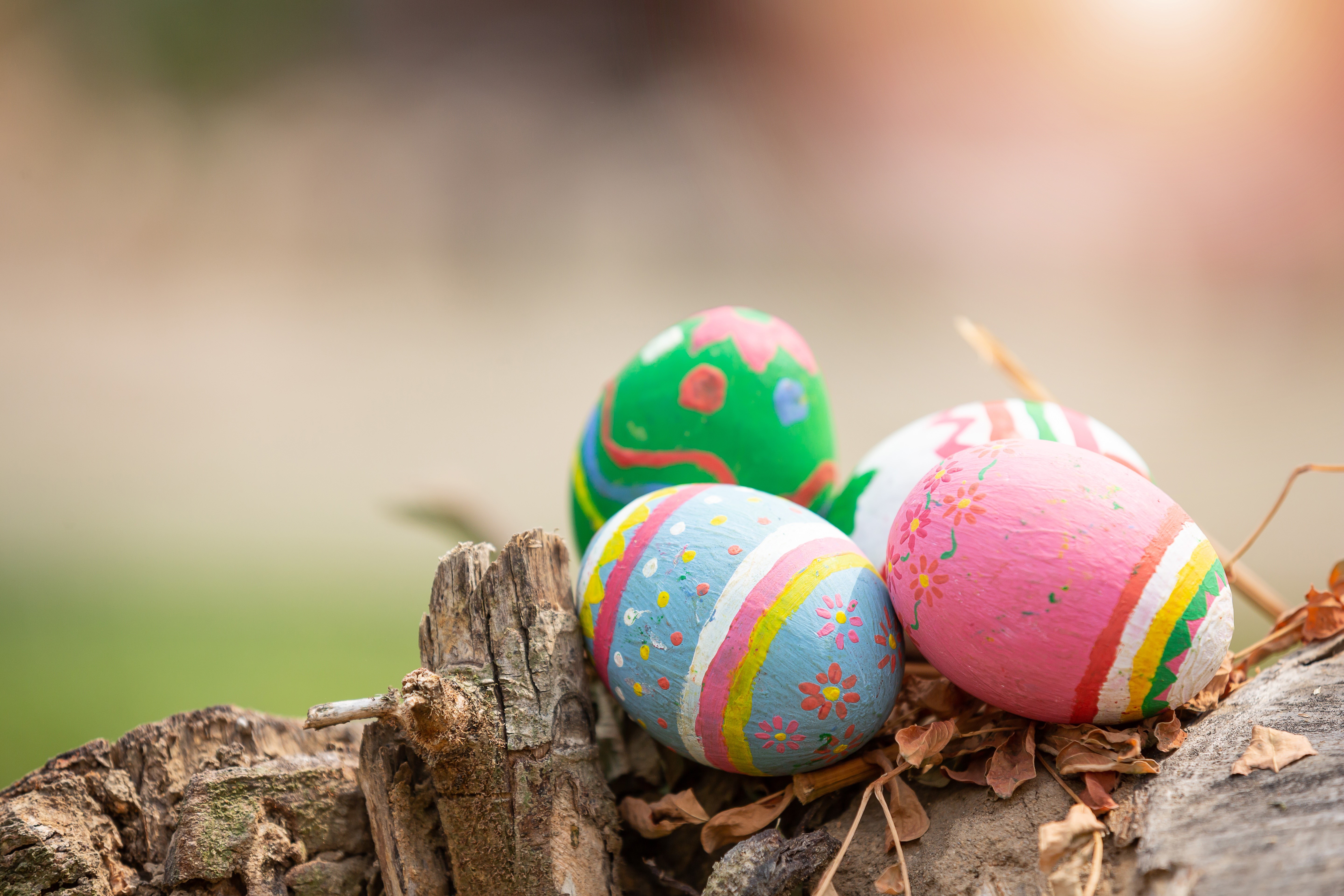 Easter Eggs on a Tree Stump HD Wallpaper