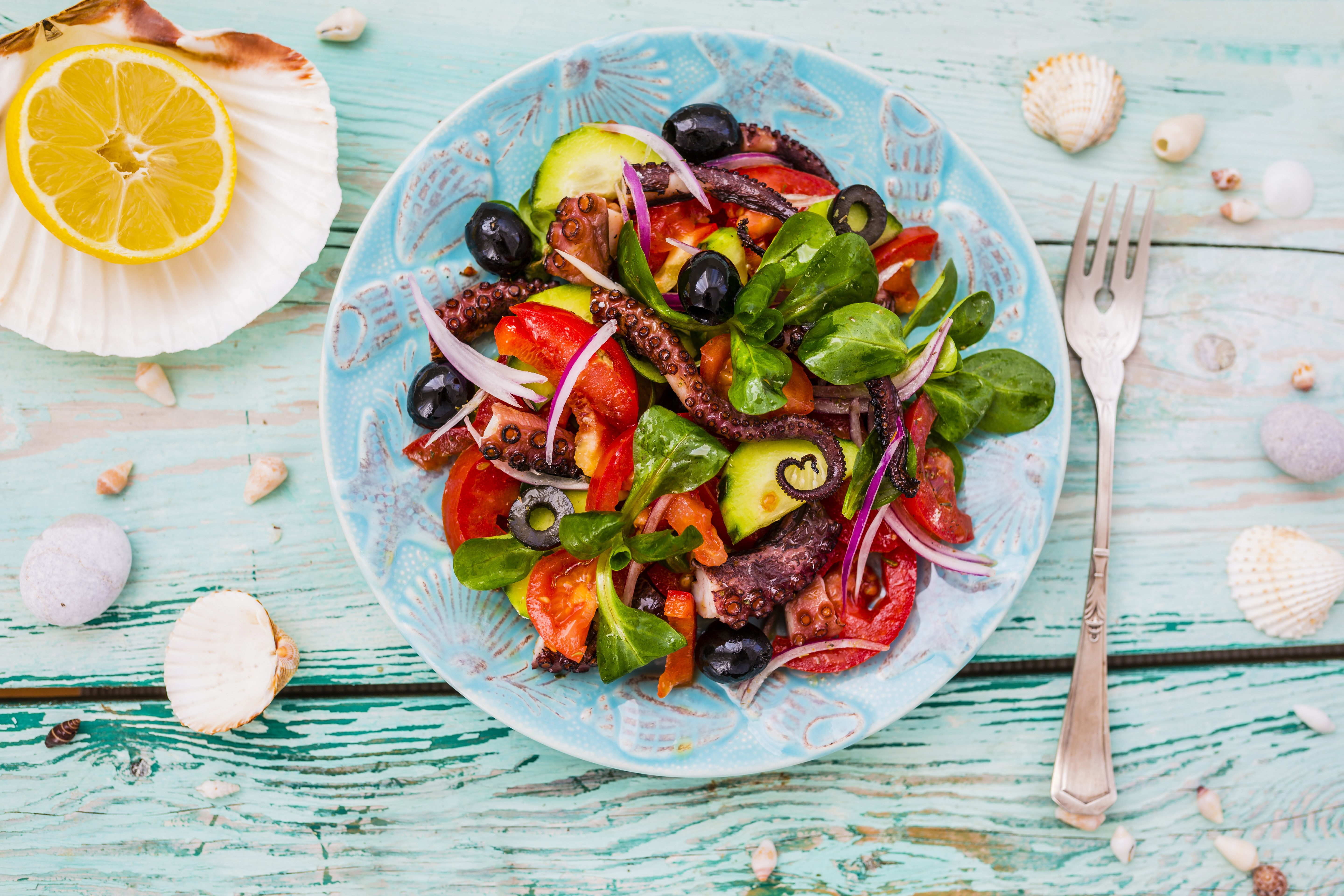 Octopus salad with lemon on a plate with shells HD Wallpaper