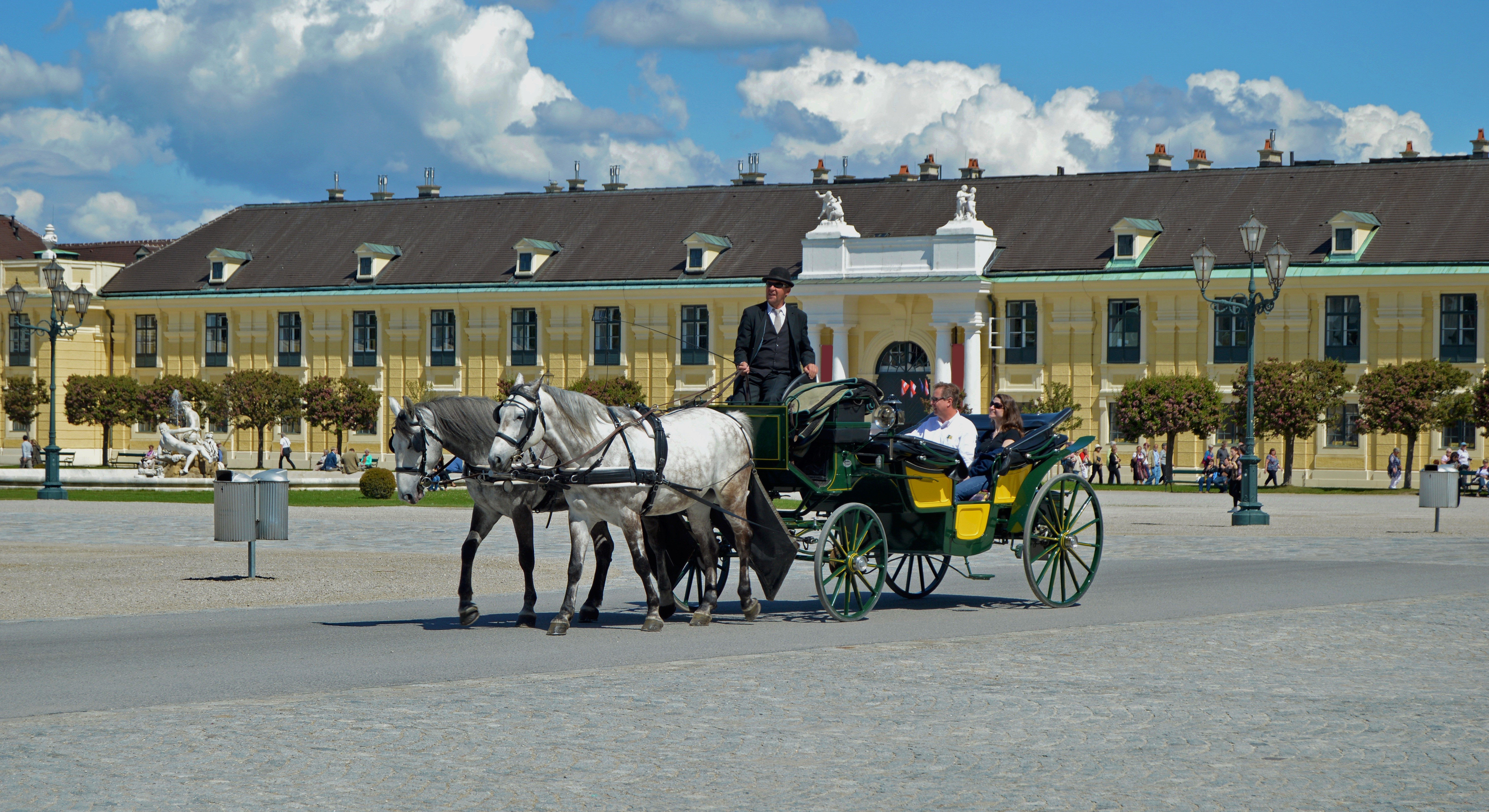 Horse-drawn carriage in front of Schönbrunn Palace, Vienna, Austria HD Wallpaper