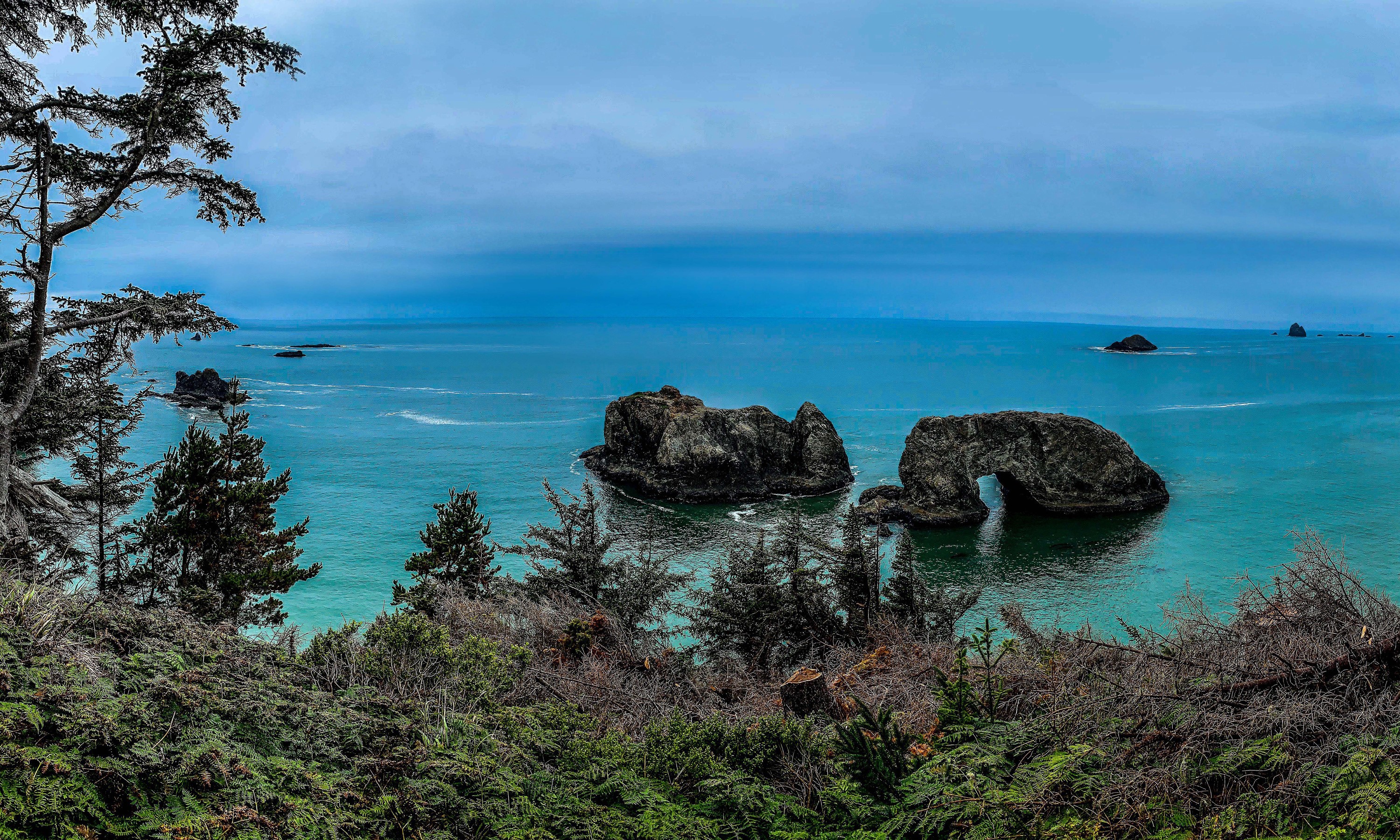 Coastal rock formations and trees in Carpenterville, Oregon HD Wallpaper
