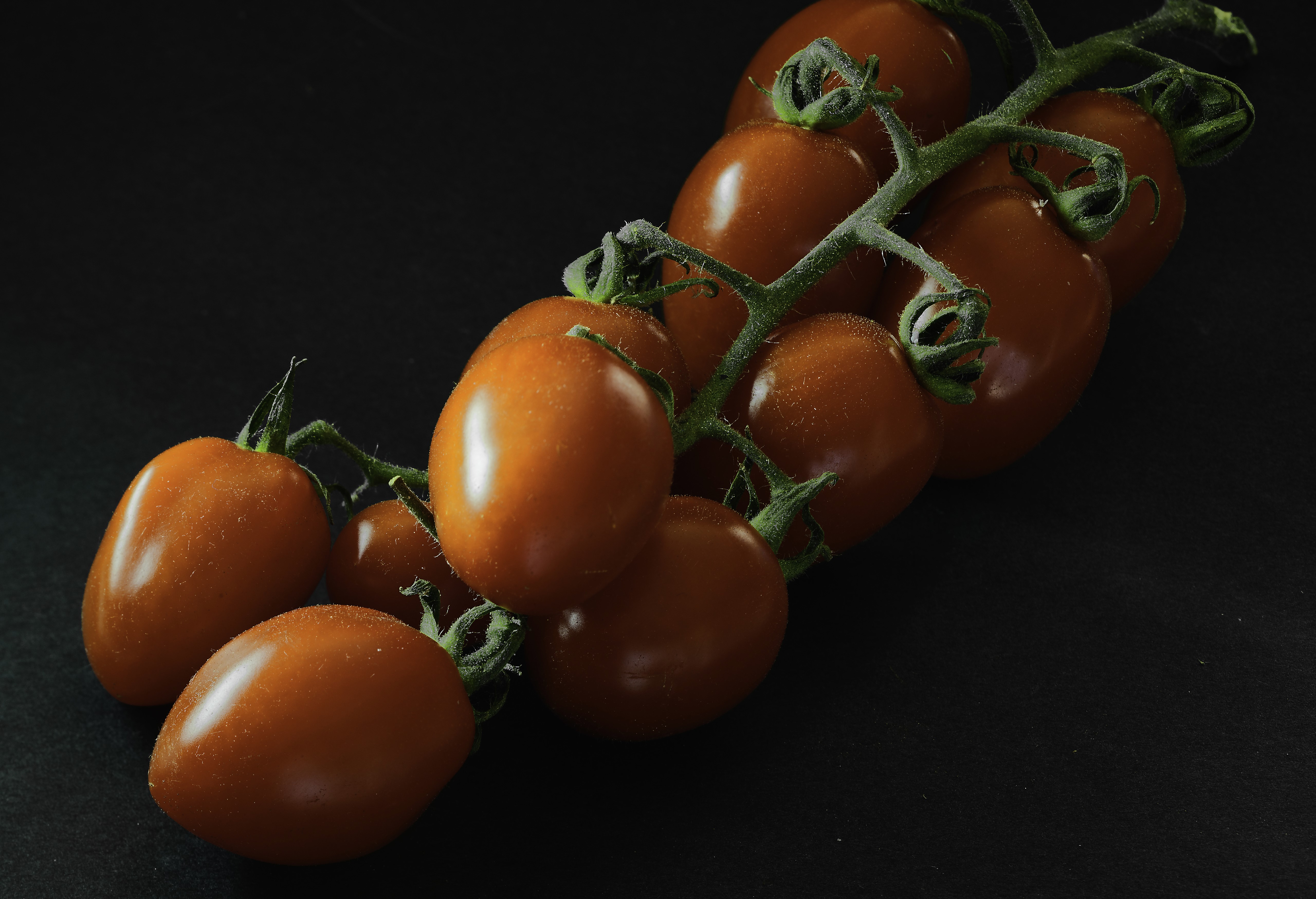 Brown cherry tomatoes on a vine HD Wallpaper