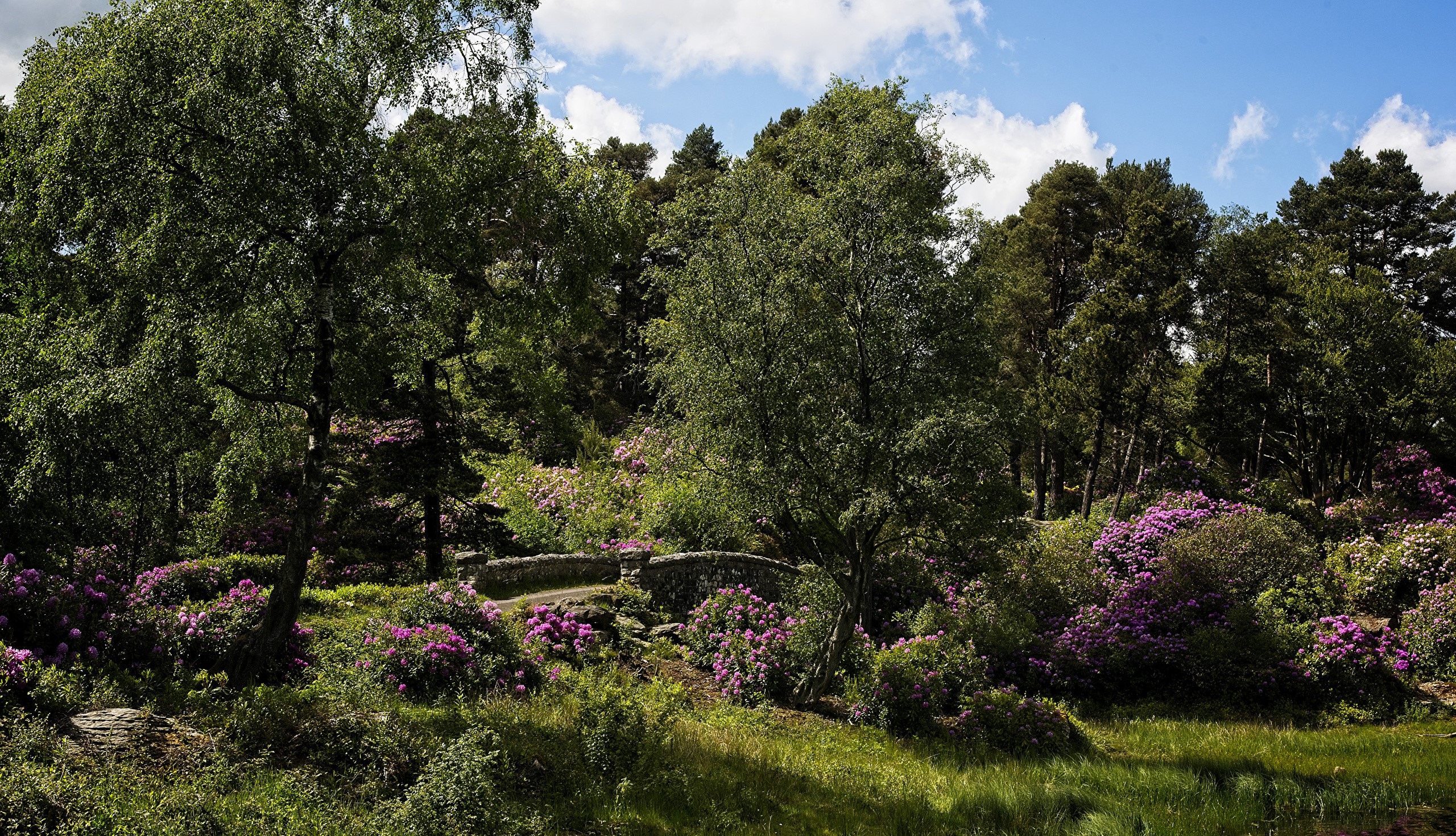 Cragside House and Gardens, England HD Wallpaper