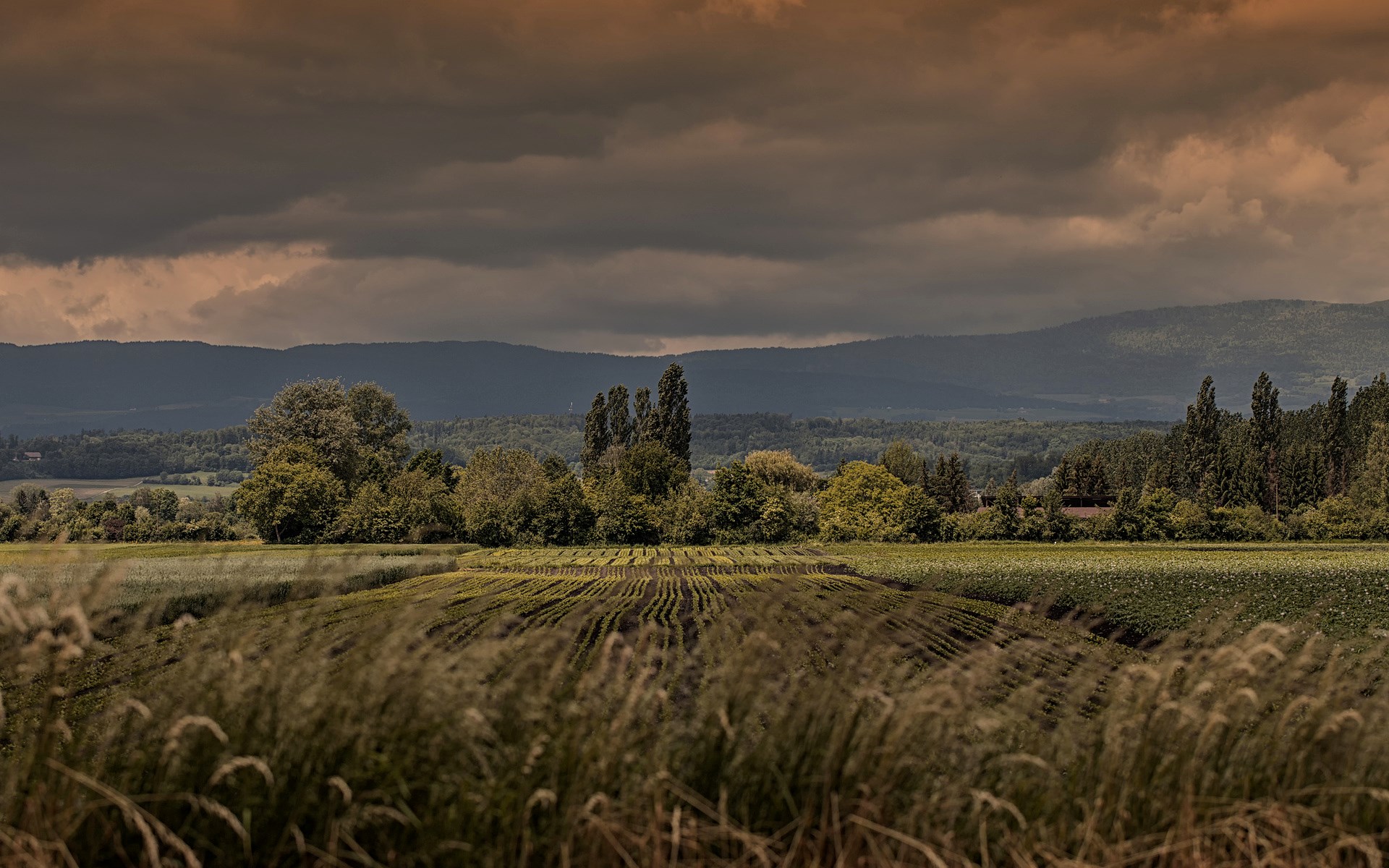 Farm fields and distant mountains under cloudy sky HD Wallpaper
