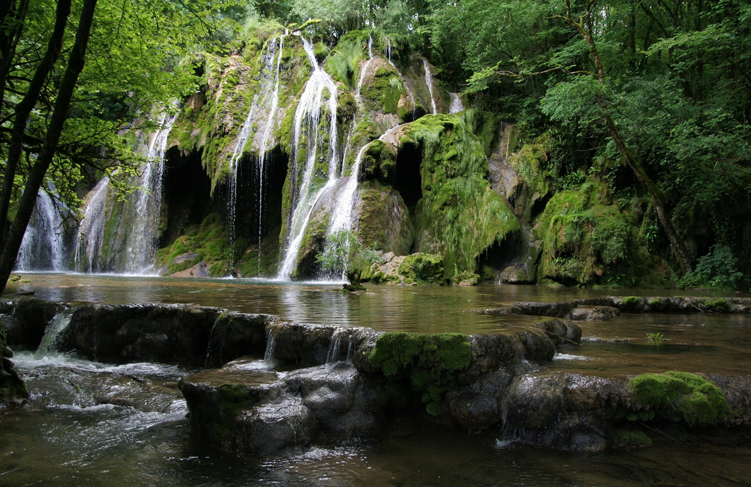 Waterfalls cascading over moss-covered rocks in a forest HD Wallpaper