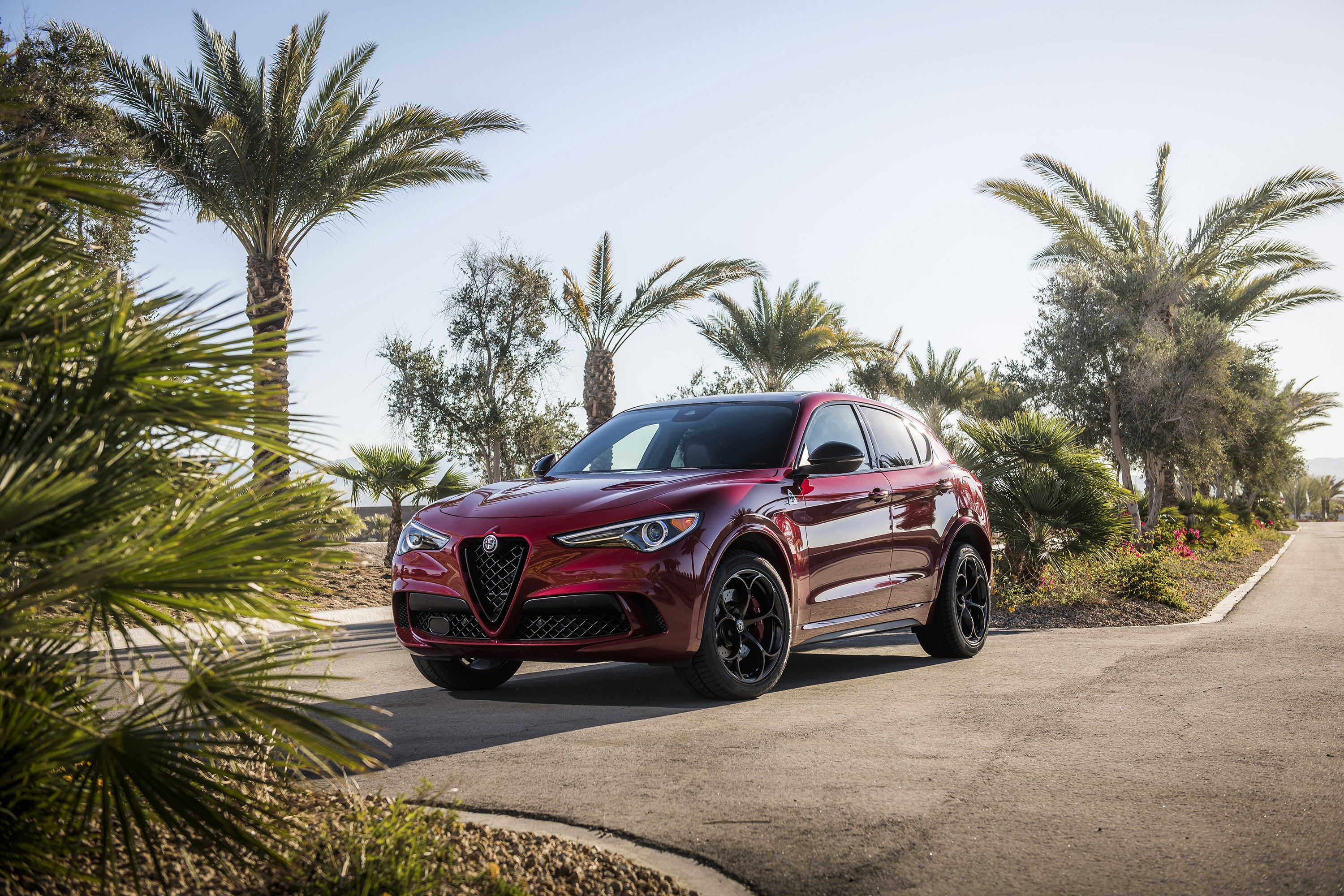 Red Alfa Romeo Stelvio Quadrifoglio Nero Edizione SUV HD Wallpaper