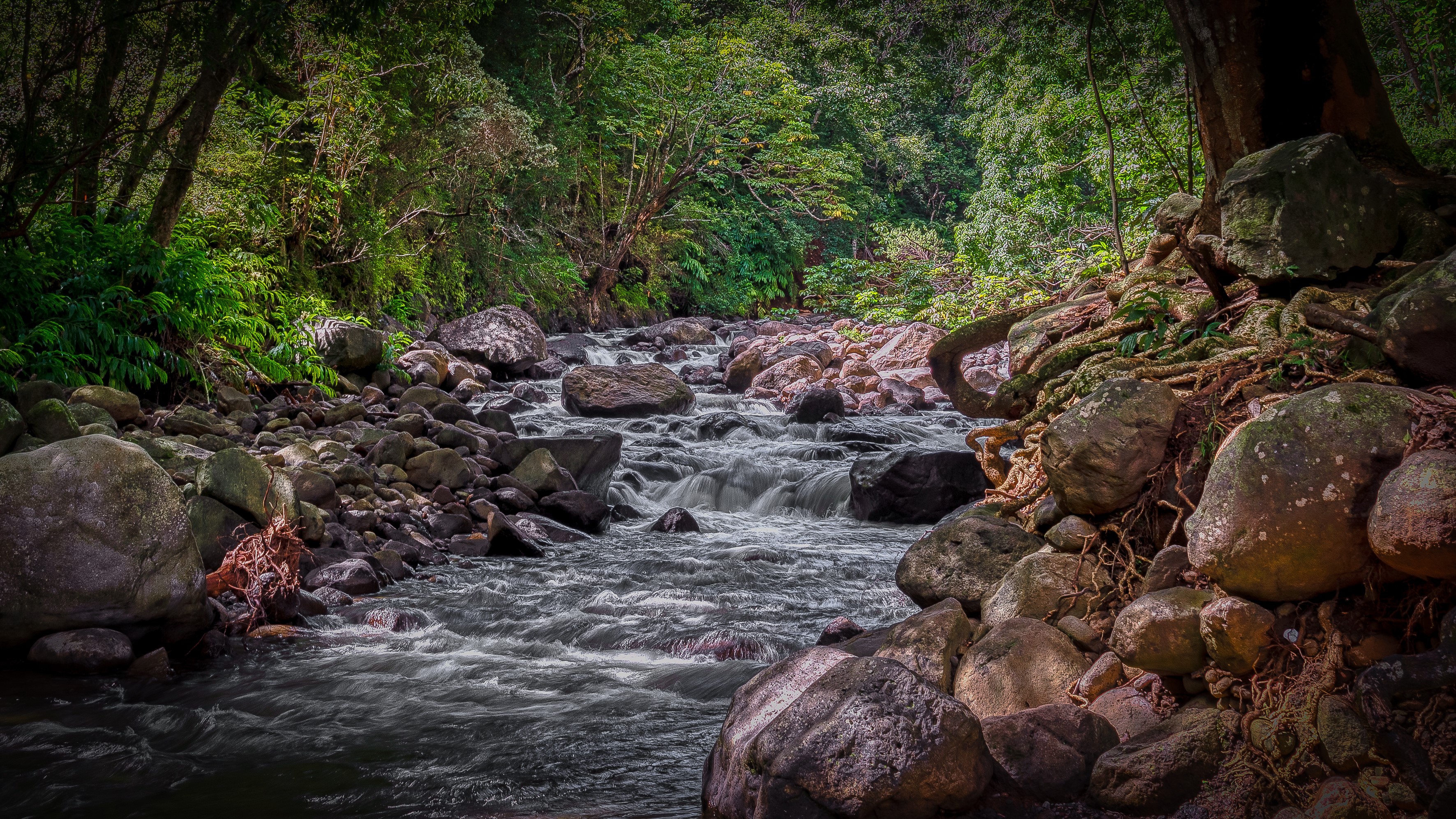 Stream flowing through Iao Valley, West Maui, Hawaii HD Wallpaper