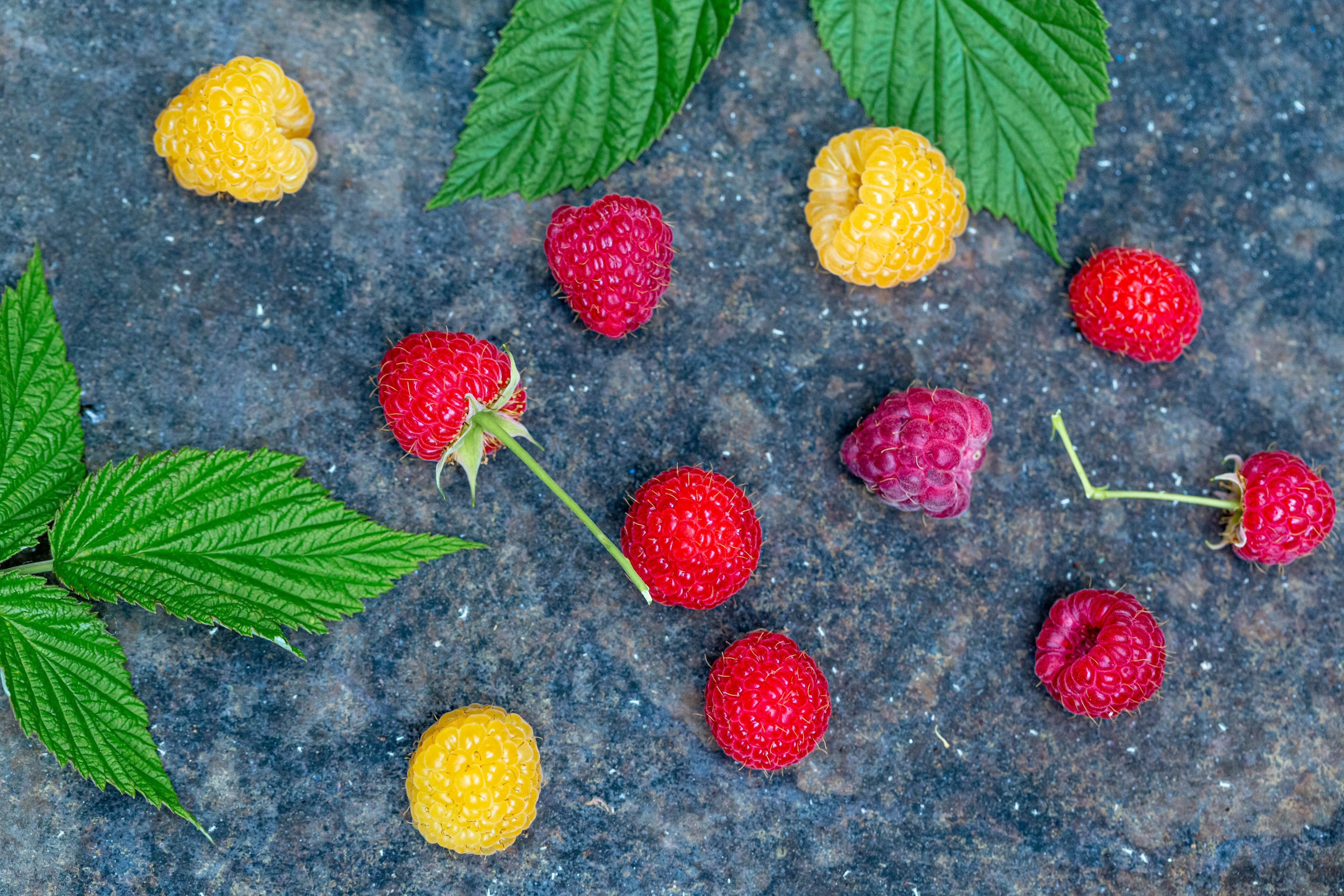 Multicolor raspberries and green foliage on a dark surface HD Wallpaper